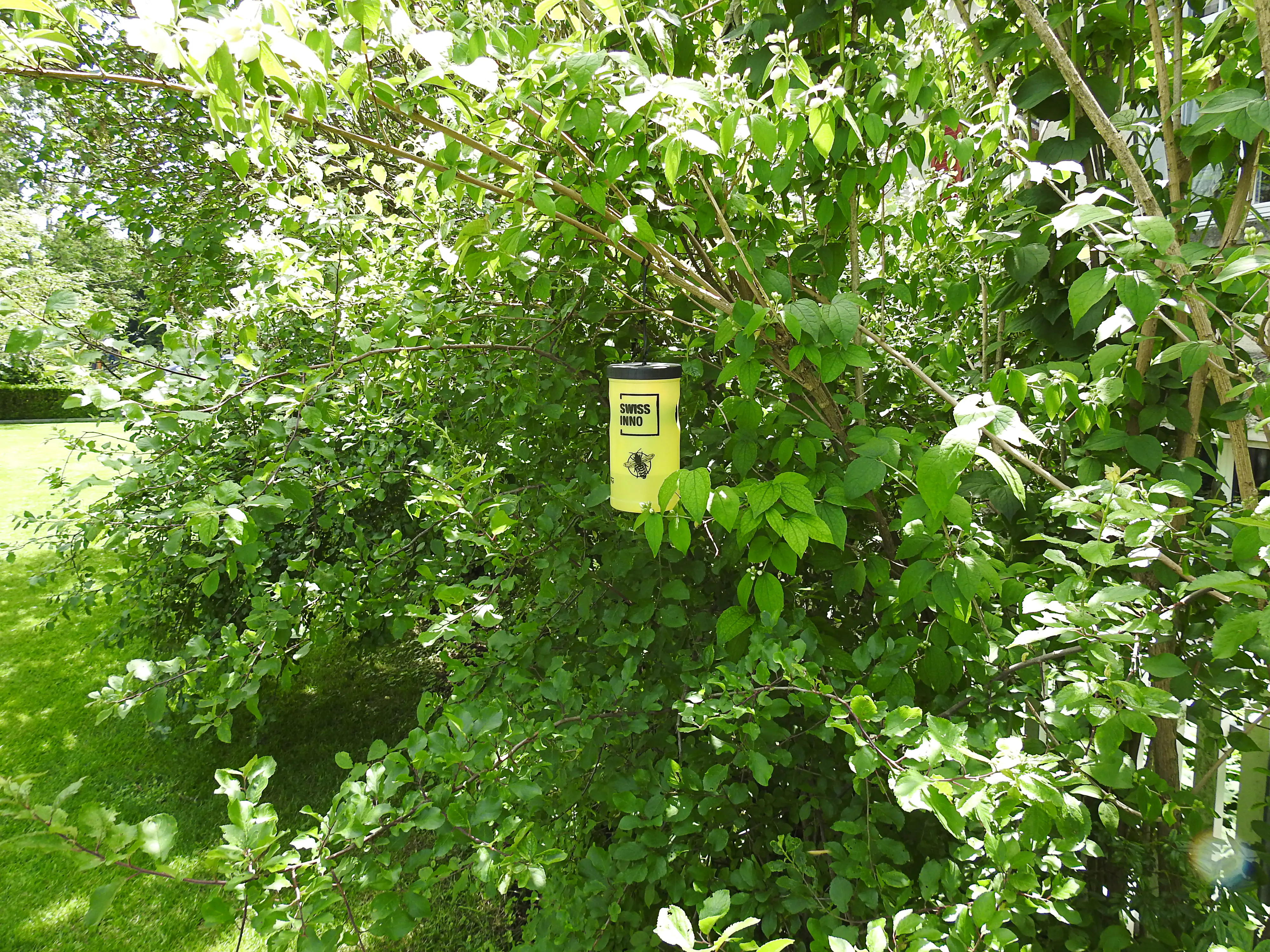 Swissinno Wespenfalle Set inkl. Lebensmittel-Köder Swissinno Wespenfalle Set inkl. Lebensmittel-Köder