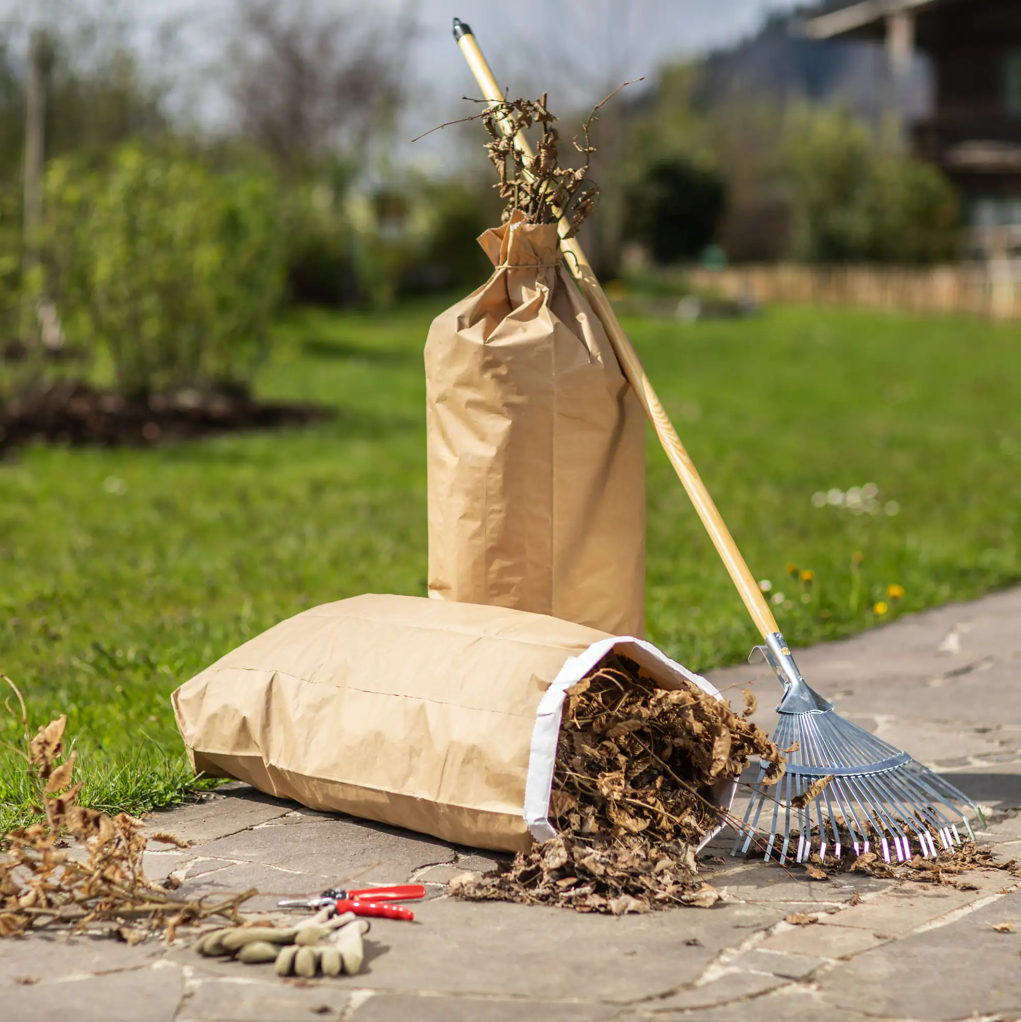 9003117078109 Windhager Abfallsack aus Papier 110 L, 5 Stück