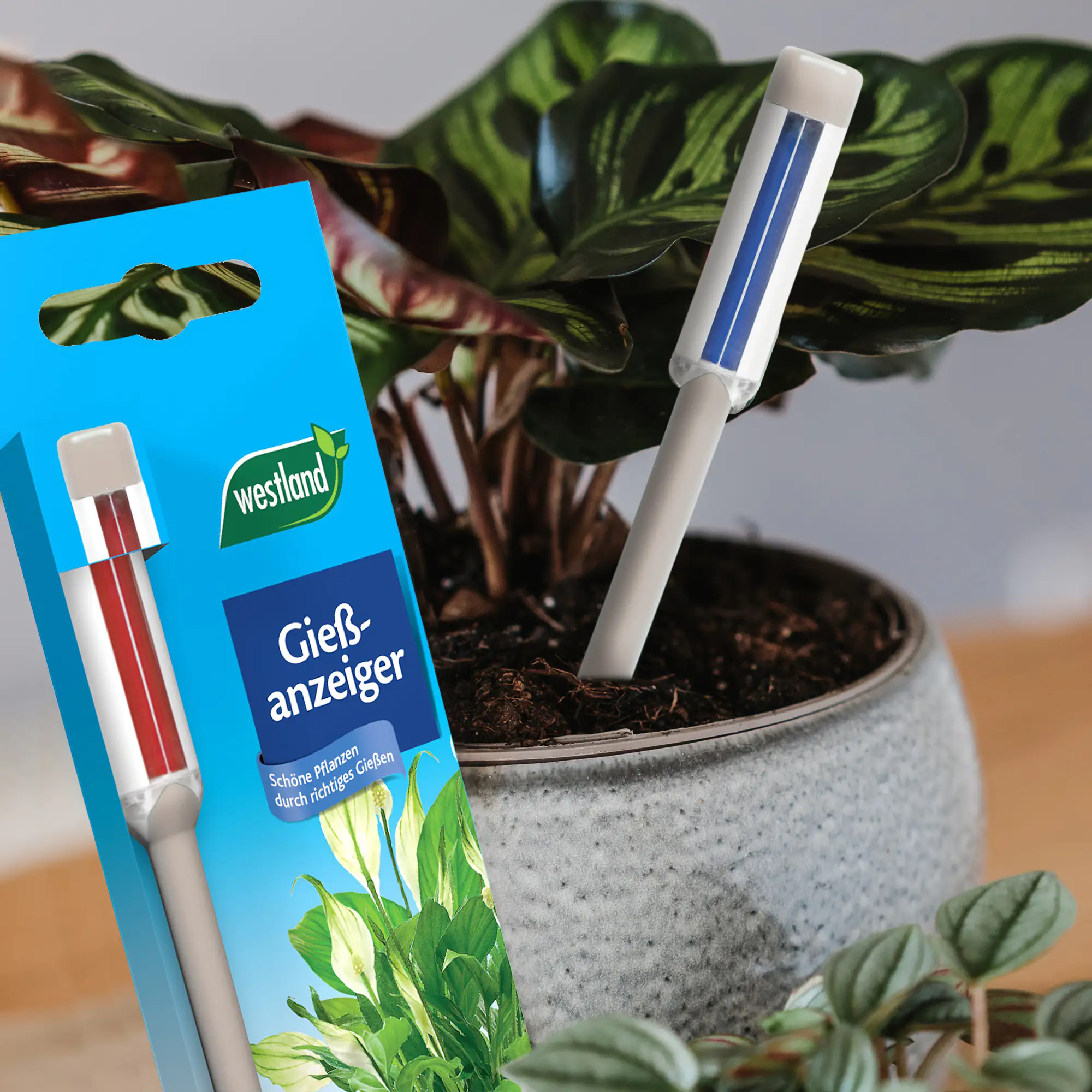 Westland Gießanzeiger groß steingrau 26 cm