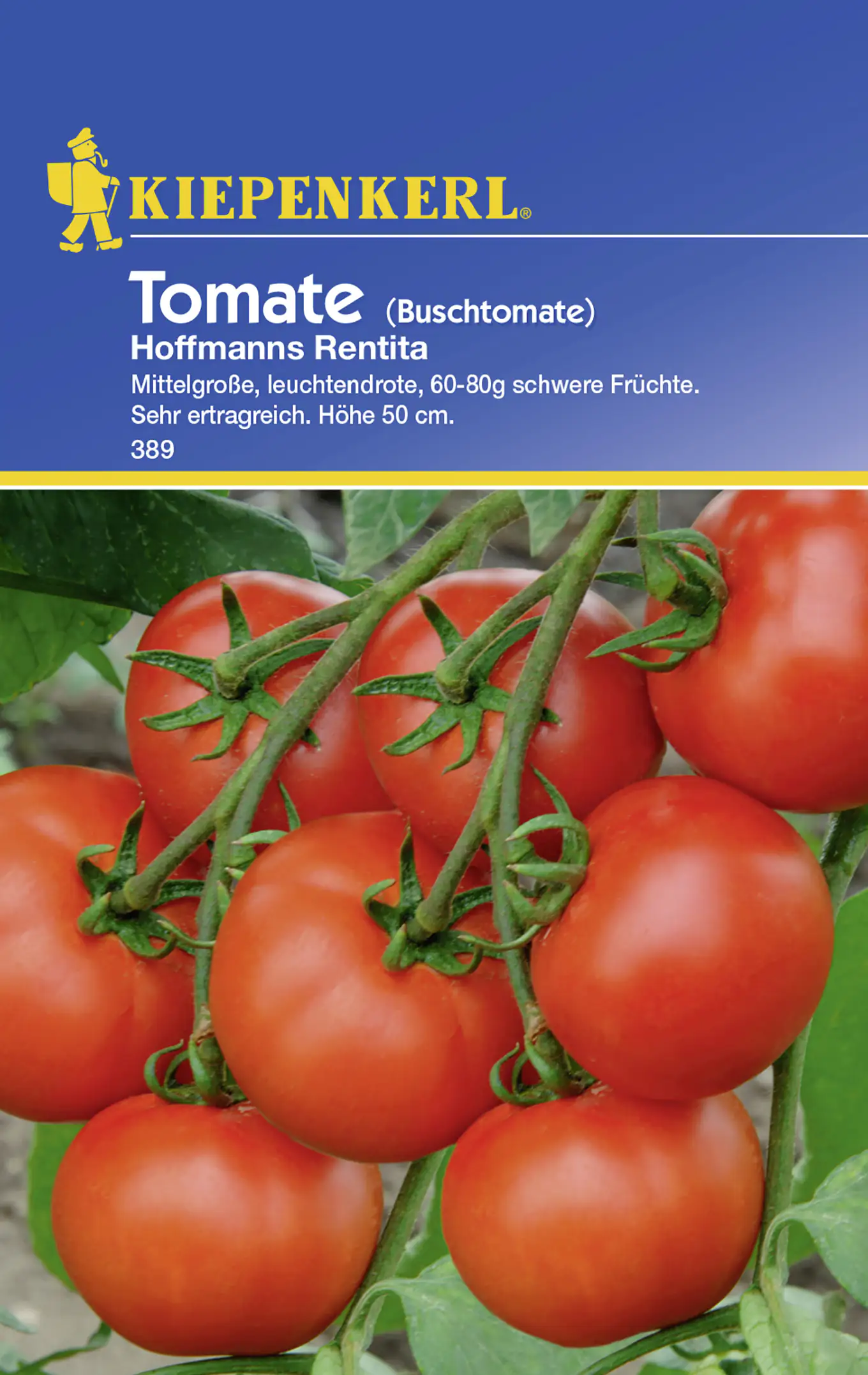 Kiepenkerl Tomate Hofmanns Rentita Solanum lycopersicum, Inhalt: ca. 15 Pflanzen