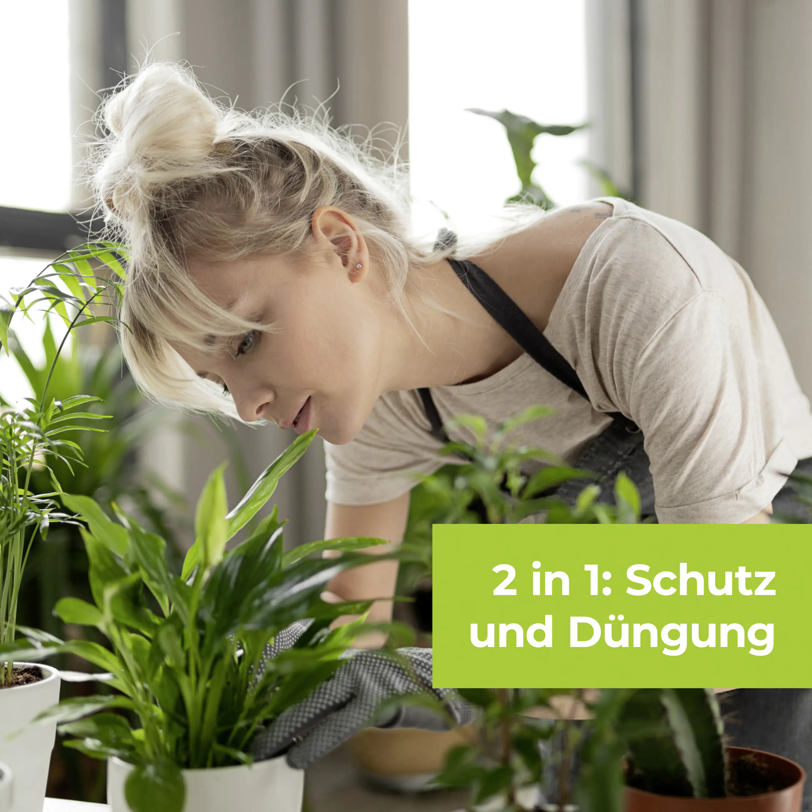 Protect Garden Lizetan Plus Combistäbchen 2 in 1 10 Stück Protect Garden Lizetan Plus Combistäbchen 2 in 1 10 Stück