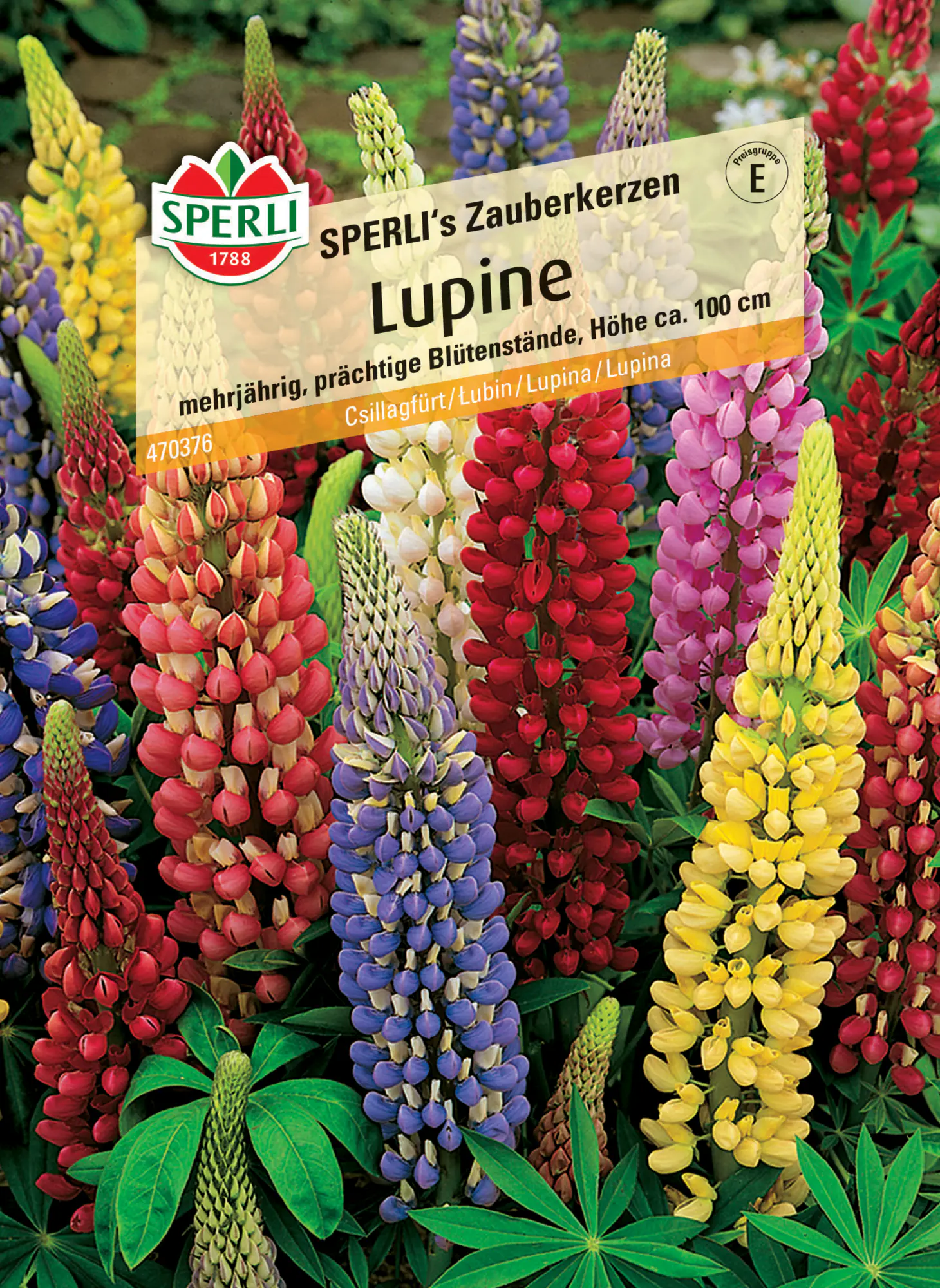 Sperli Lupine SPERLI's Zauberkerzen