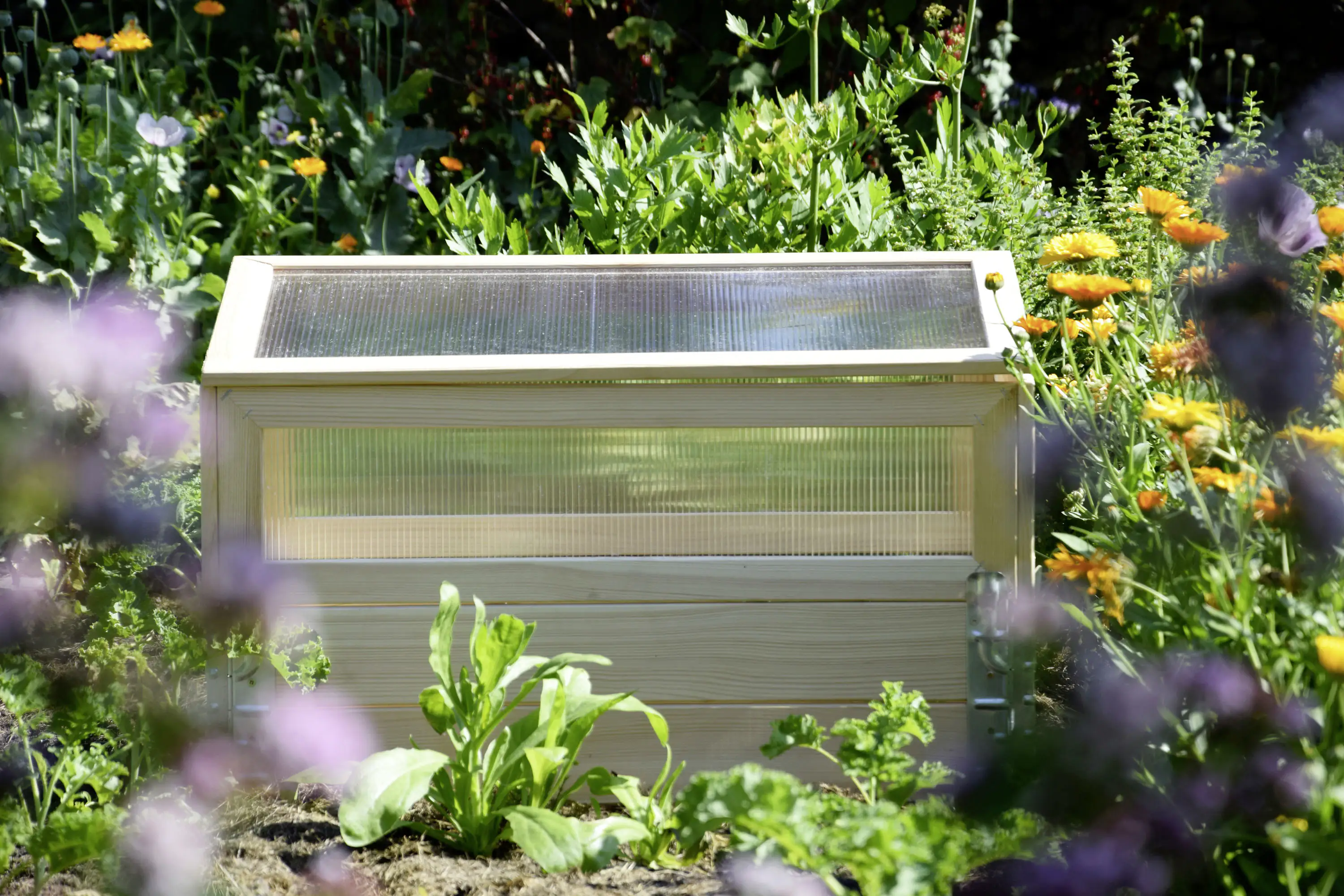 4055894584132_3169872 Dobar Frühbeet mit Untersatz transparent Kiefer 76 x 40 x 50 cm