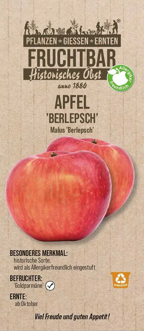 Stadt Ernte Bio Obstbaum Apfel Berlepsch H 150 cm 29 cm Topf