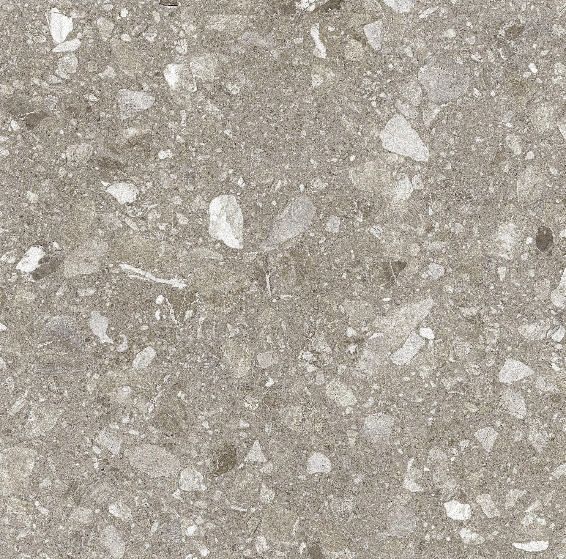 Bodenfliese Feinsteinzeug Terra 60 x 60 cm greige