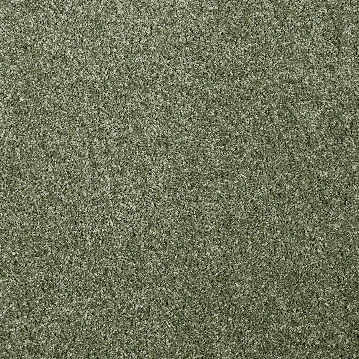 Teppichboden Ella grün 4 m breit (Meterware)