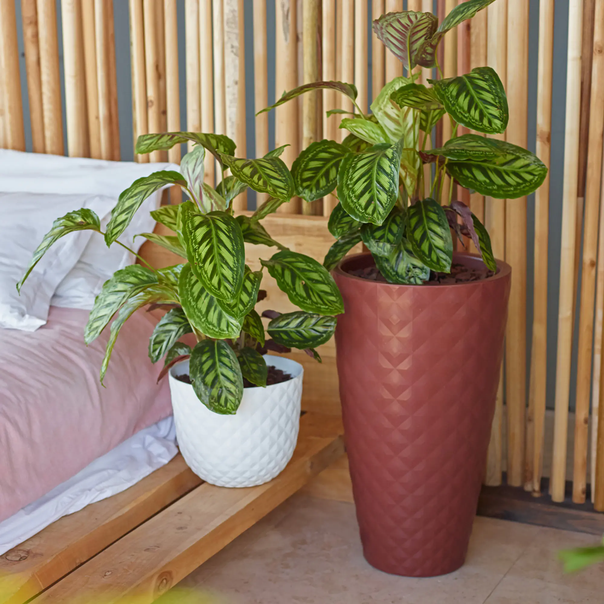 Artevasi Pflanztopf Havana Tropical Kunststoff granit weiß matt Ø 20 x 16 cm