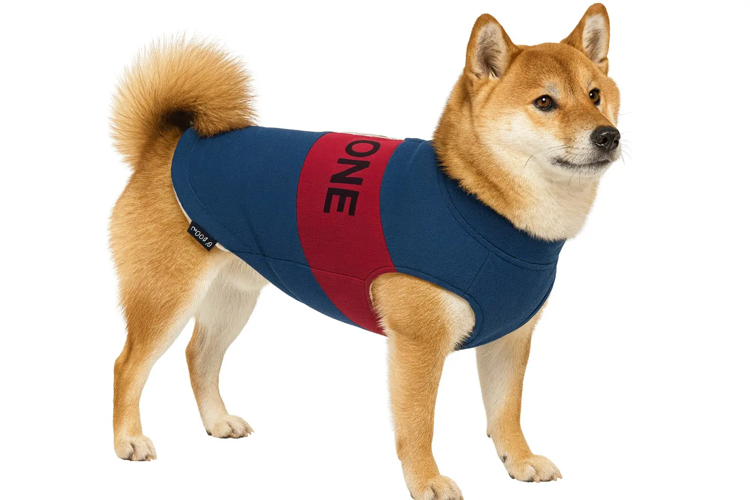 Nobby Hundemantel The One navy-rot Nobby Hundemantel The One navy-rot