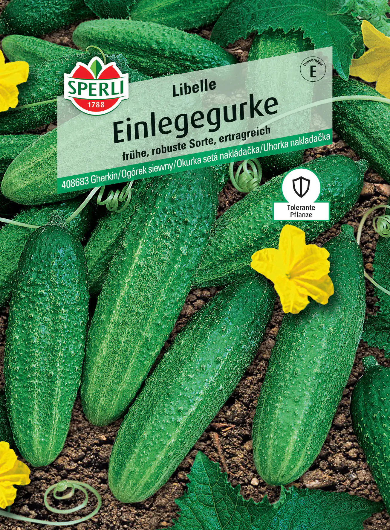 Sperli Einlegegurke Libelle F1