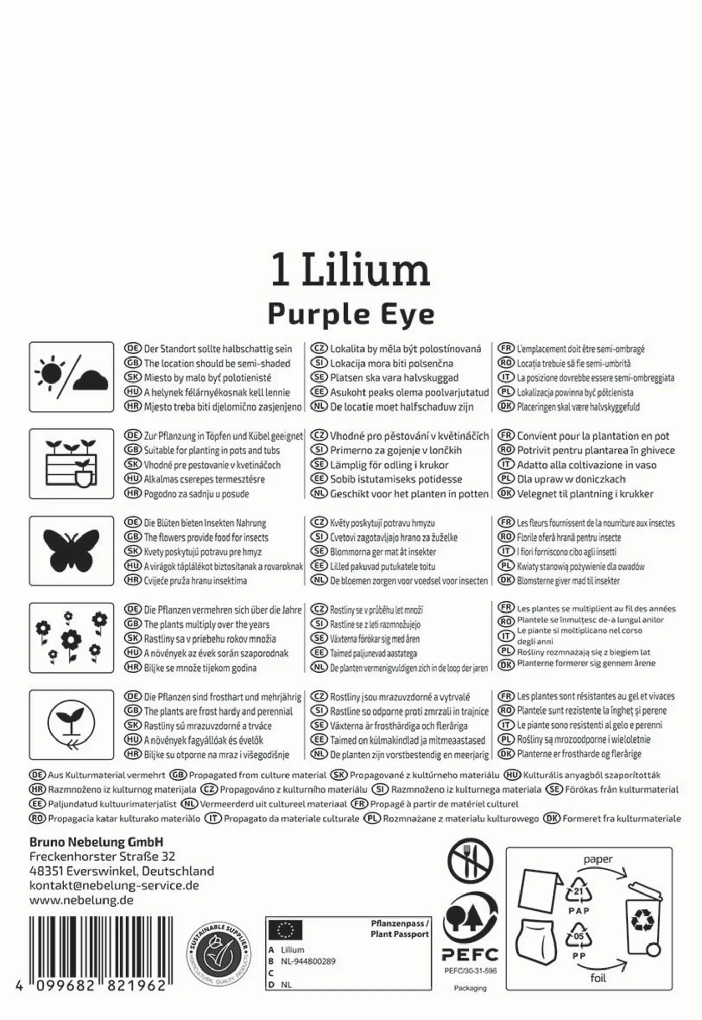 Kiepenkerl Profi-Line Frühjahrsblumenzwiebel Asiatische Lilie Purple Eye 1 Stück