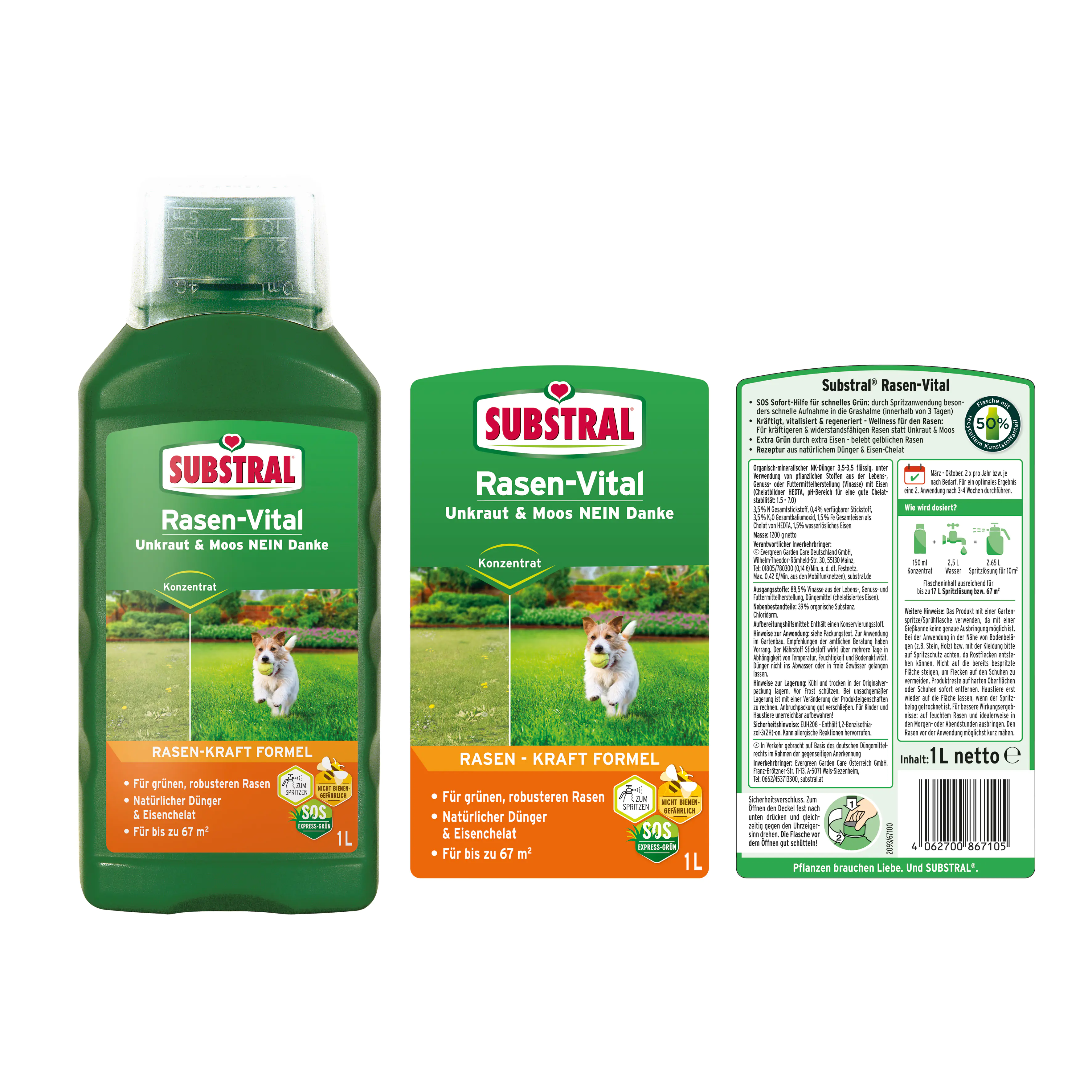Substral Rasen Vital 1 L