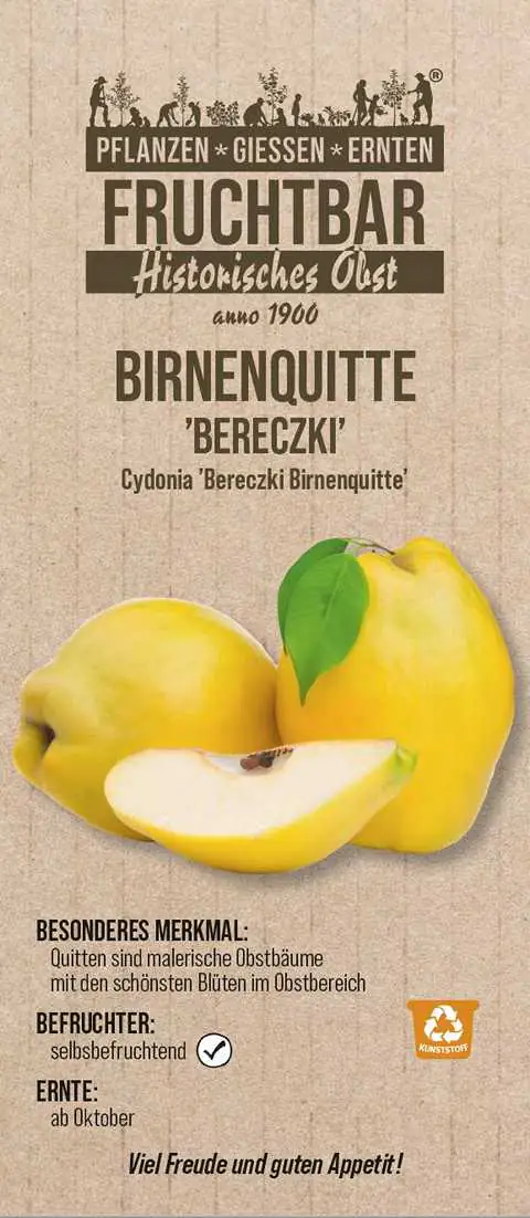 Historische Bio Obstbäume Quitte  'Bereczki Birnenquitte' C10 BIO PLUS+