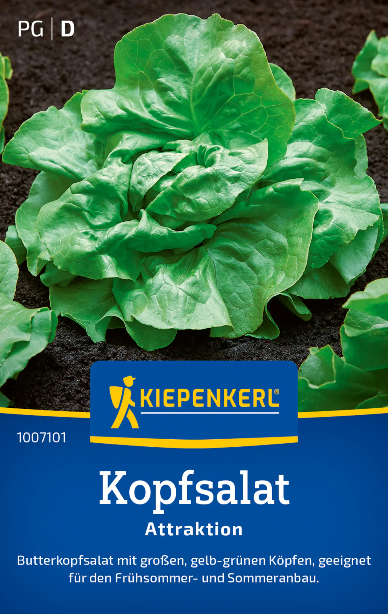 Kiepenkerl Saatgut Kopfsalat Attraktion für ca. 300 Pflanzen