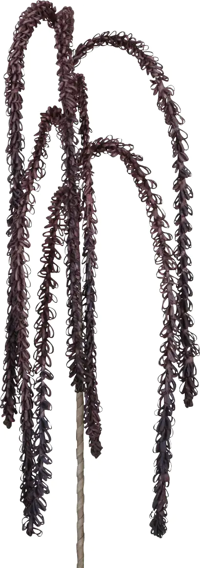 Dijk Blumenhängezweig lila 80 cm