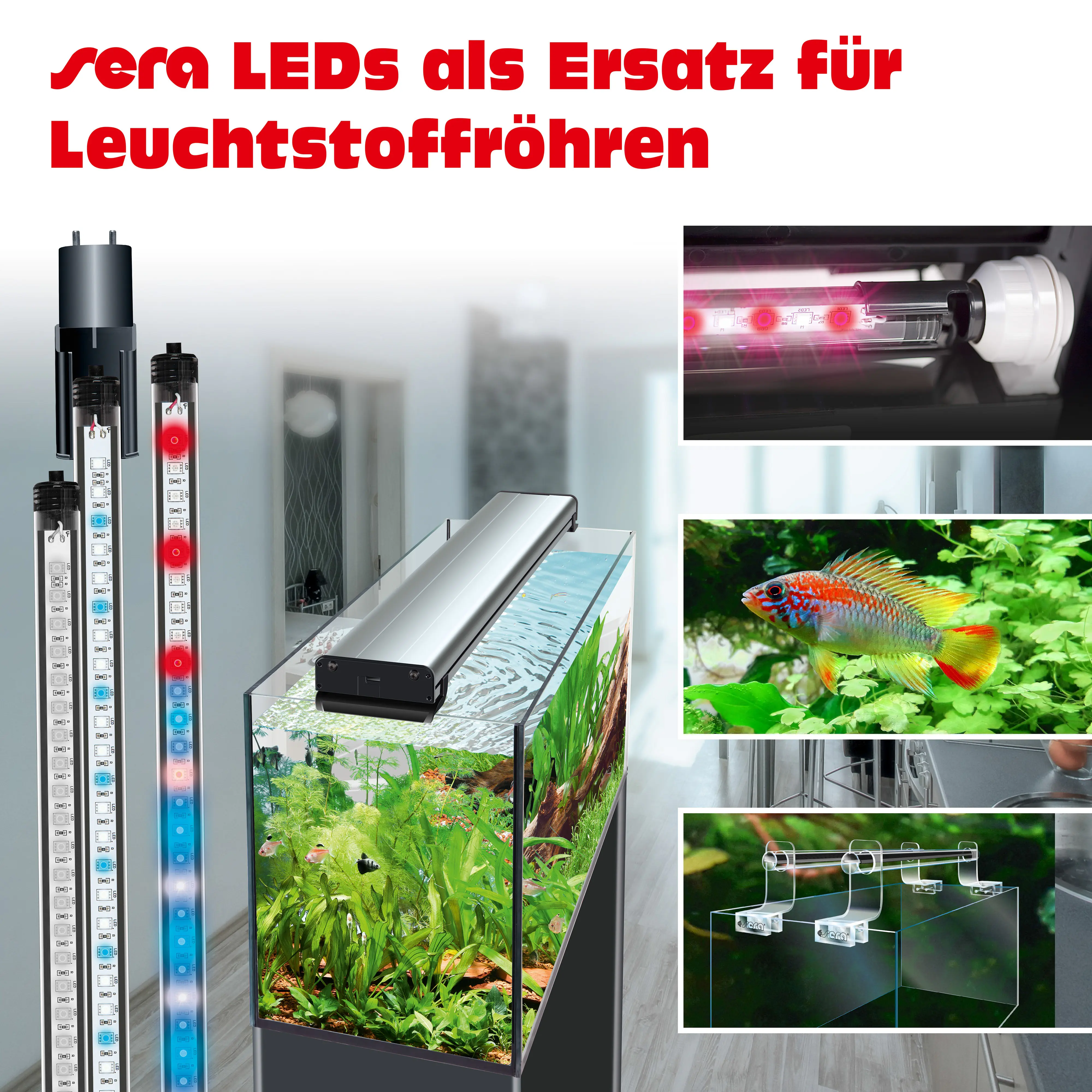Sera Aquarium-Beleuchtung LED X-Change Tube cool daylight 820 - 1 Stück Sera Aquarium-Beleuchtung LED X-Change Tube cool daylight 820 - 1 Stück