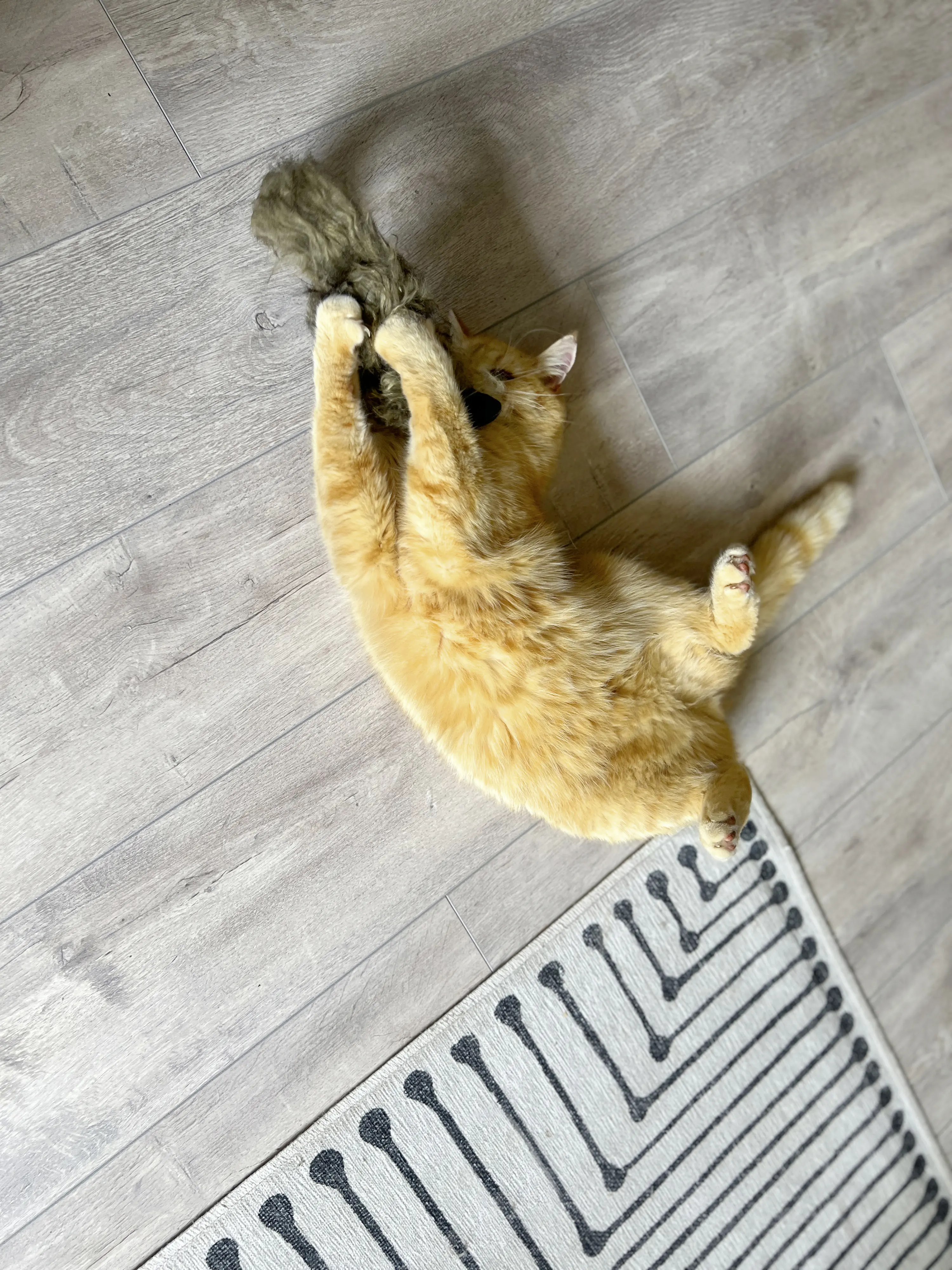 Aumüller Katzenspielzeug Frettchen grau mit Füllung 42 x 10 x 3 cm