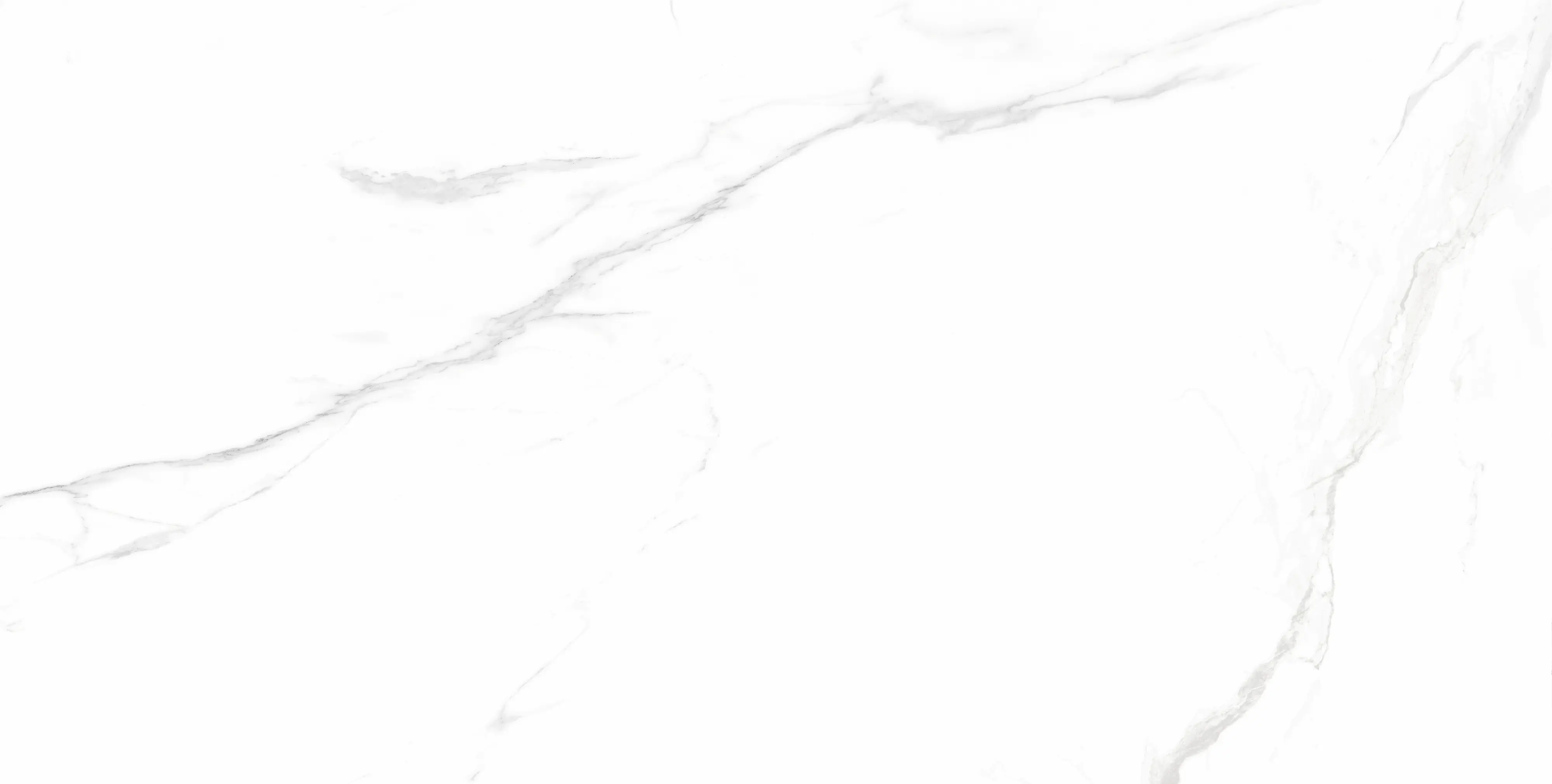 Bodenfliese Feinsteinzeug Opus 60 x 120 cm white