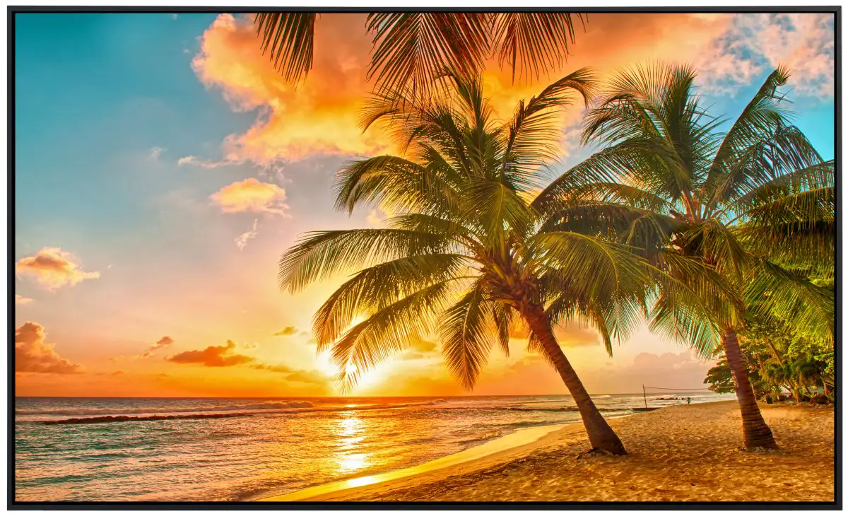 papermoon Infrarotheizkörper EcoHeat 75x120 cm 900 Watt, Barbados Palmen