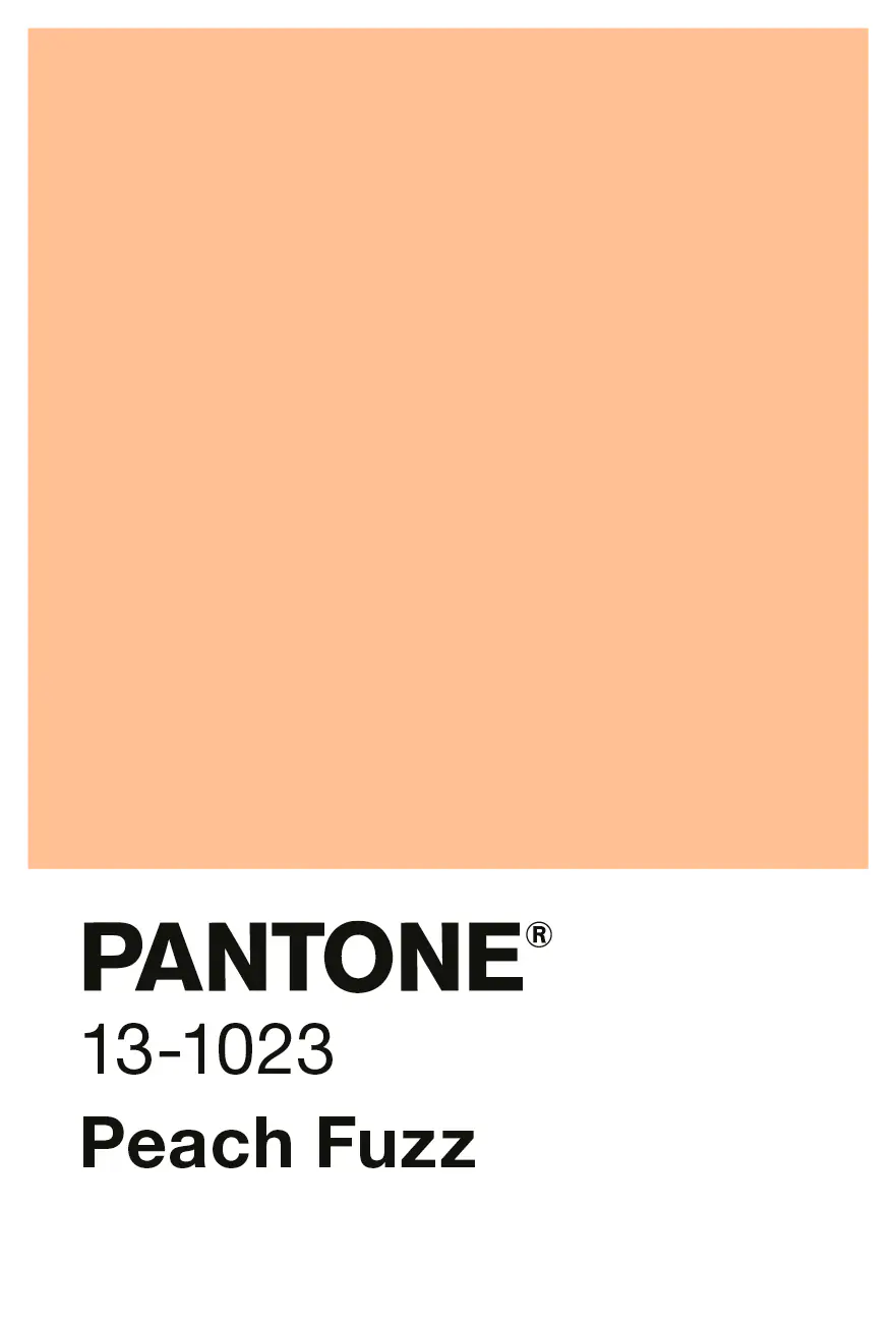 Alpina Wandfarbe Pantone matt peach fuzz 2,5 L