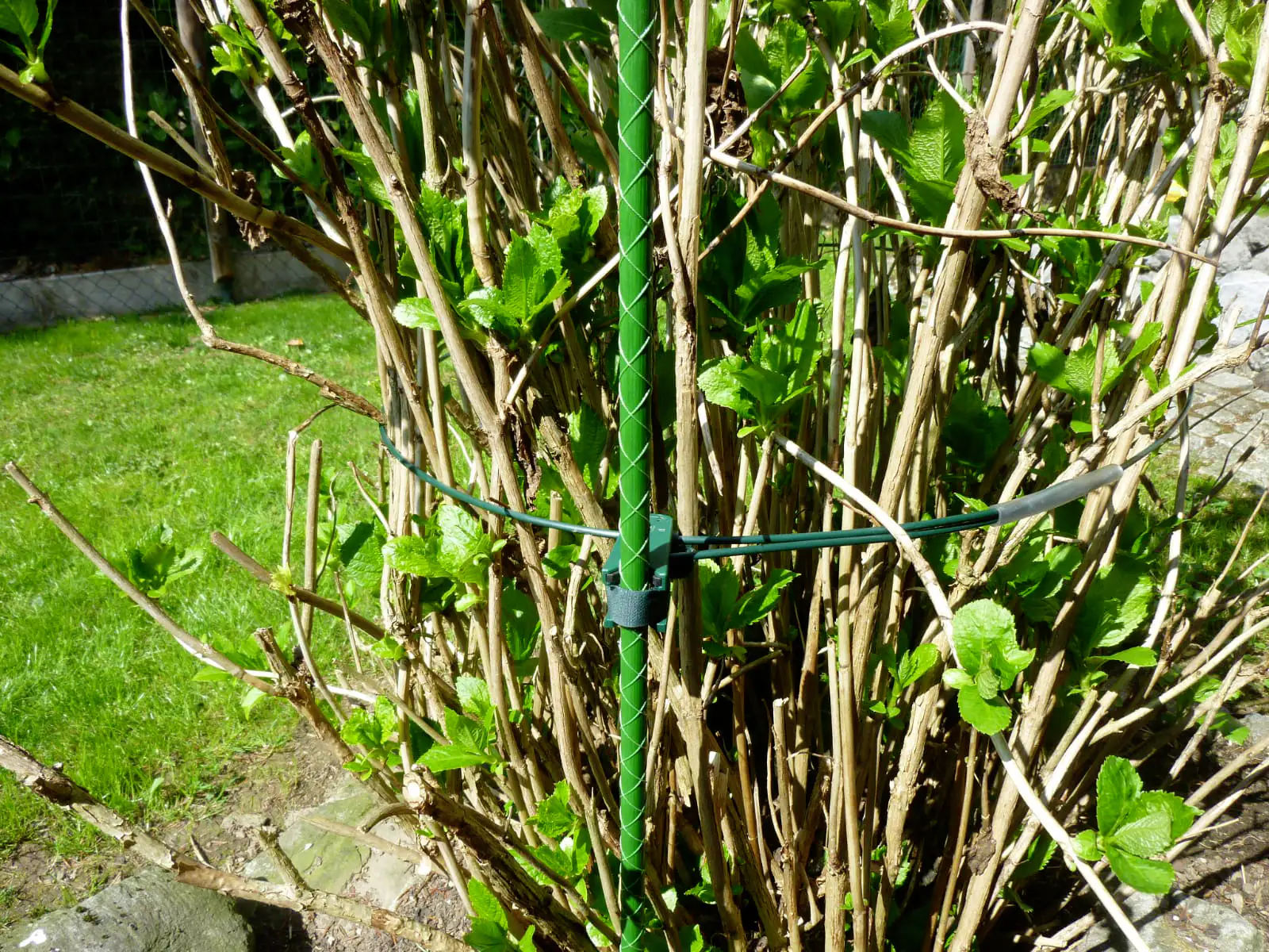 Pflanzenhalter flower-fix Größe L Ø 45 cm bis 75 cm