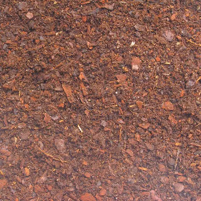 JBL TerraBark Bodensubstrat für Wald- und Regenwaldterrarien