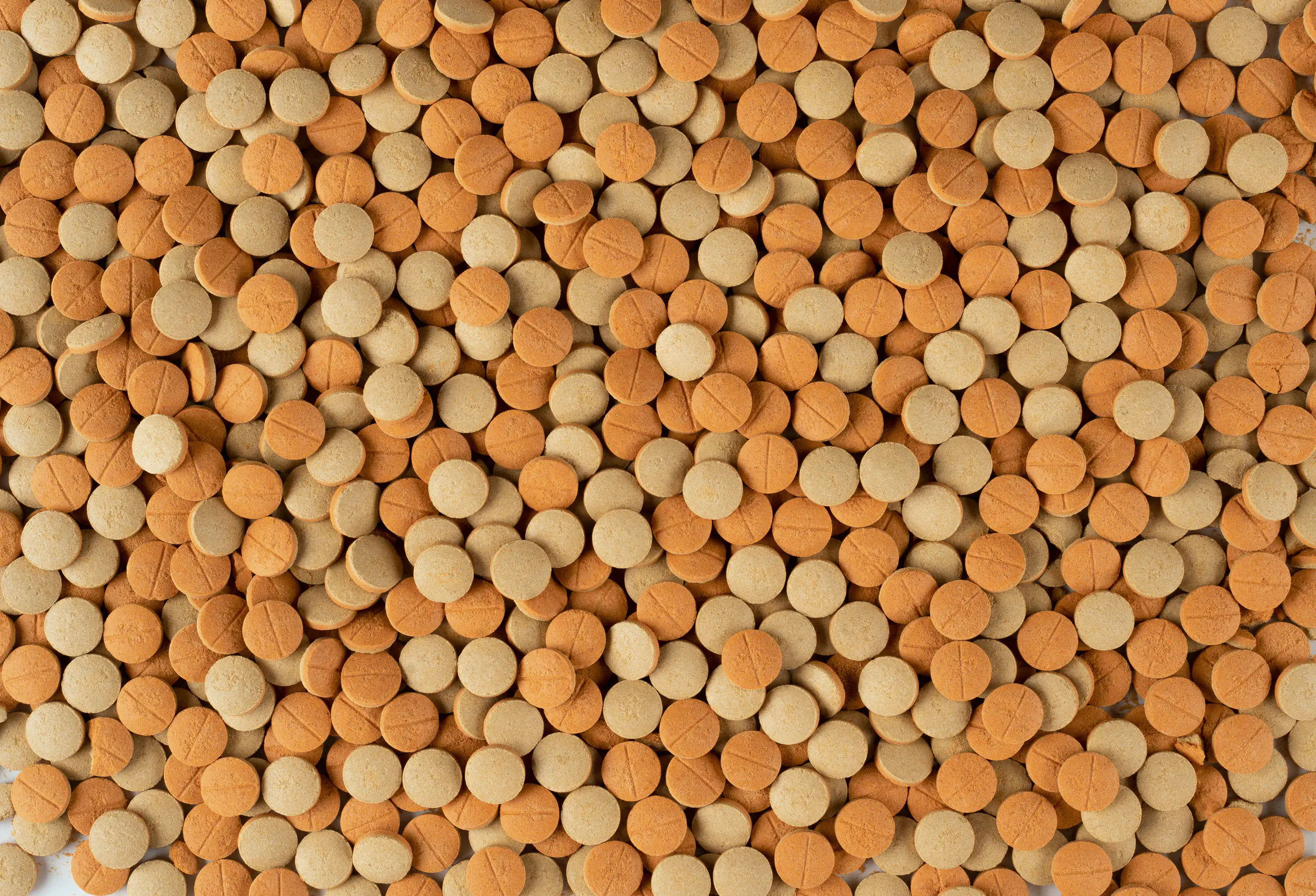 Tetra Tablets TabiMin XL 133 133 Tabletten