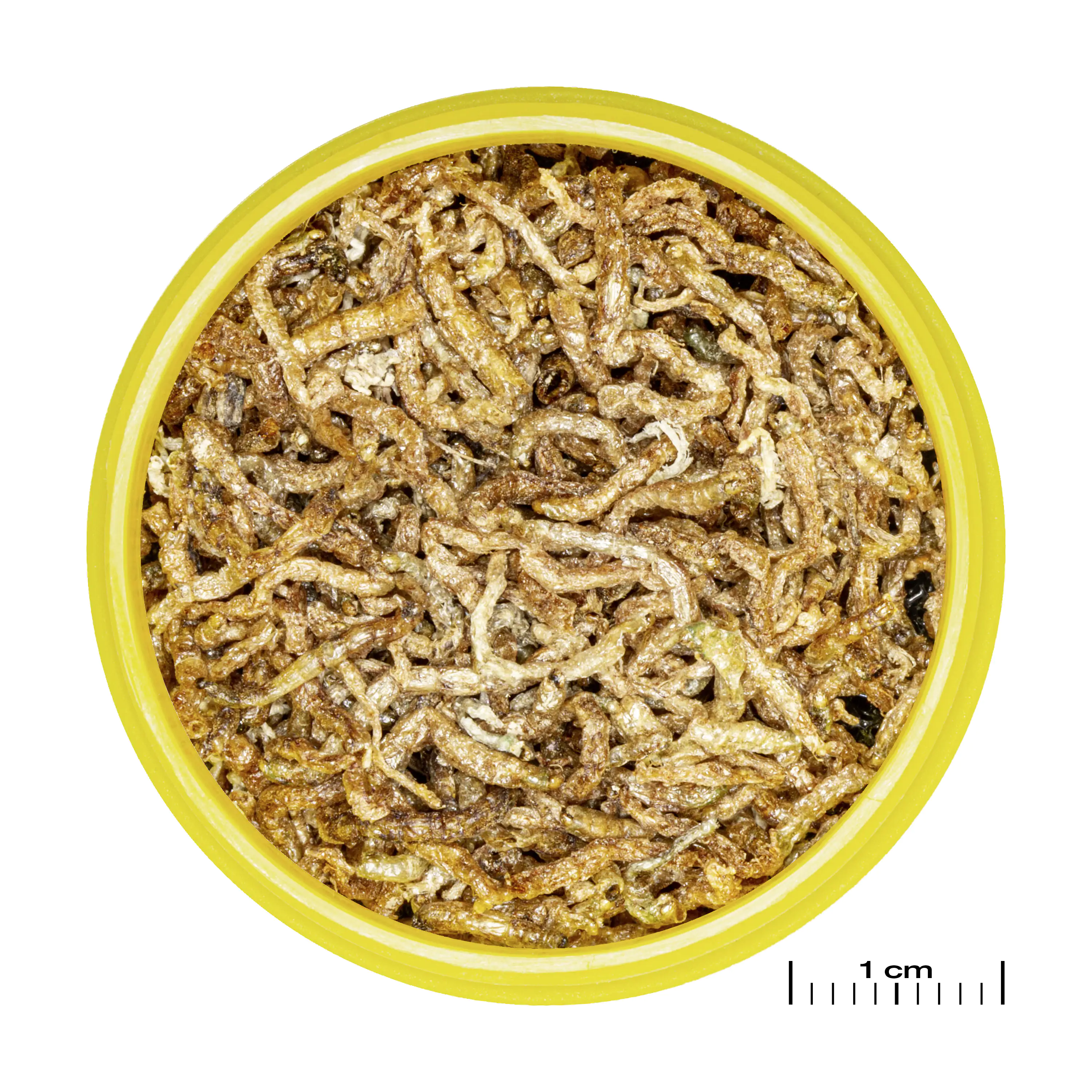 JBL Fischfutter Pronovo Fil Rote Mückenlarven Fischfuttr 100 ml