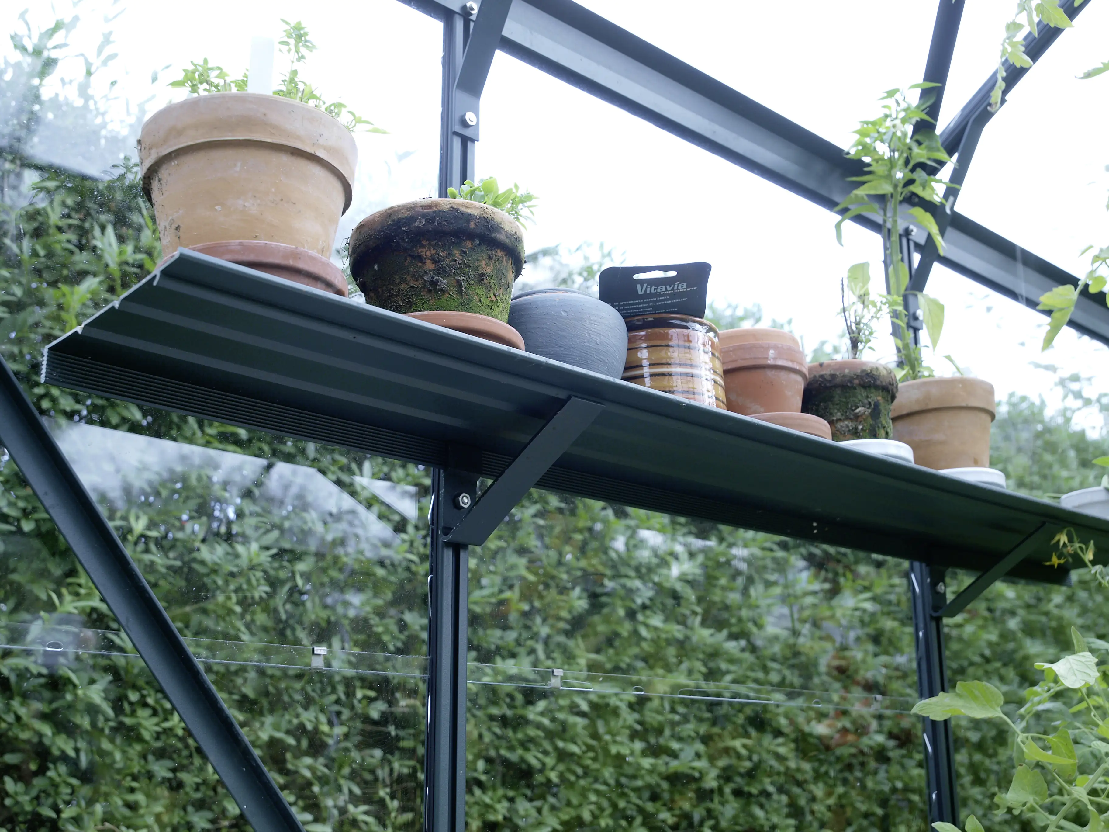 Vitavia Aluwandregal 122 x 15 cm smaragd Vitavia Aluwandregal 122 x 15 cm smaragd