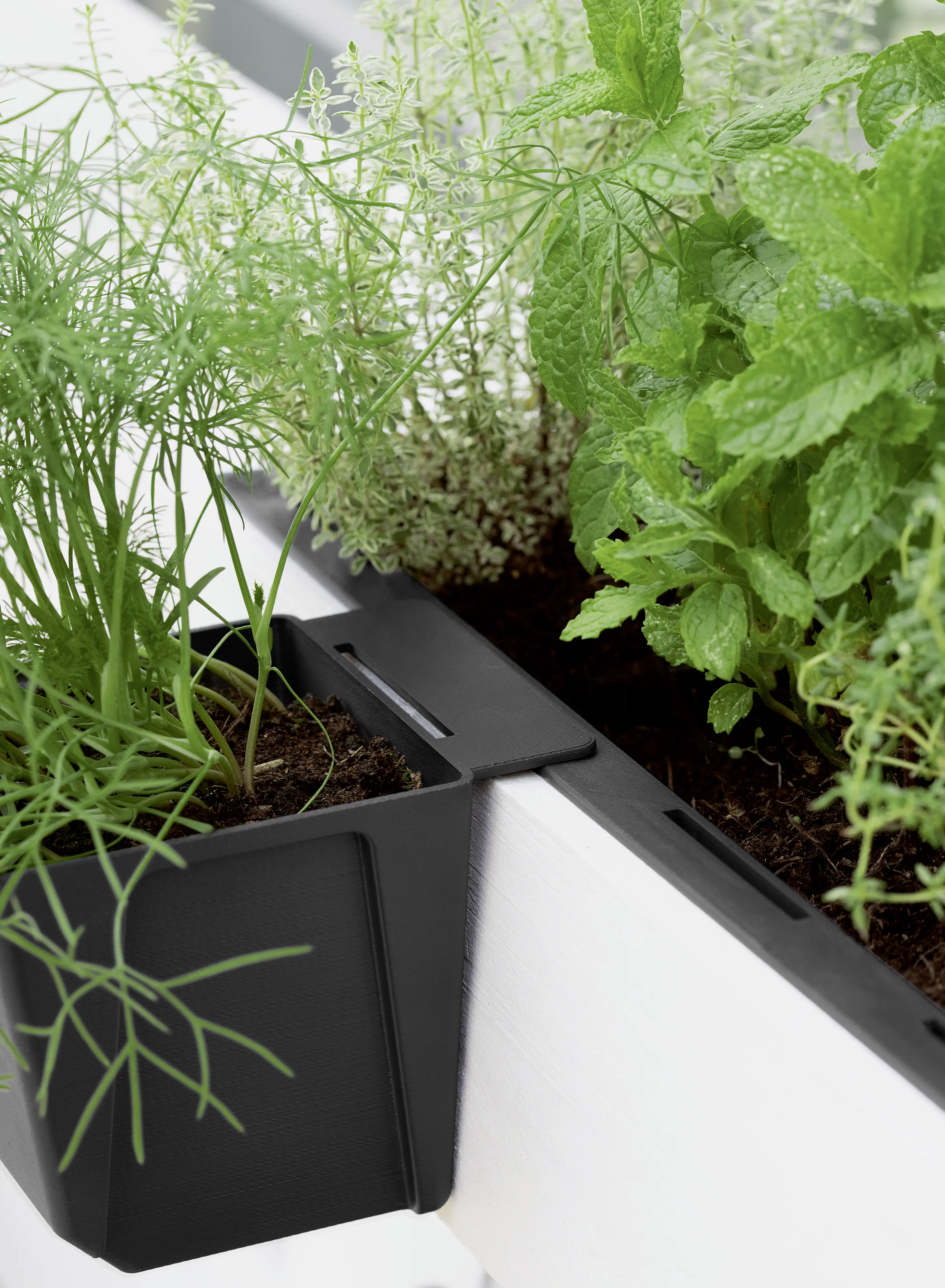 Geli Pflanztopf Easy 10 x 10 cm anthrazit für Europalette