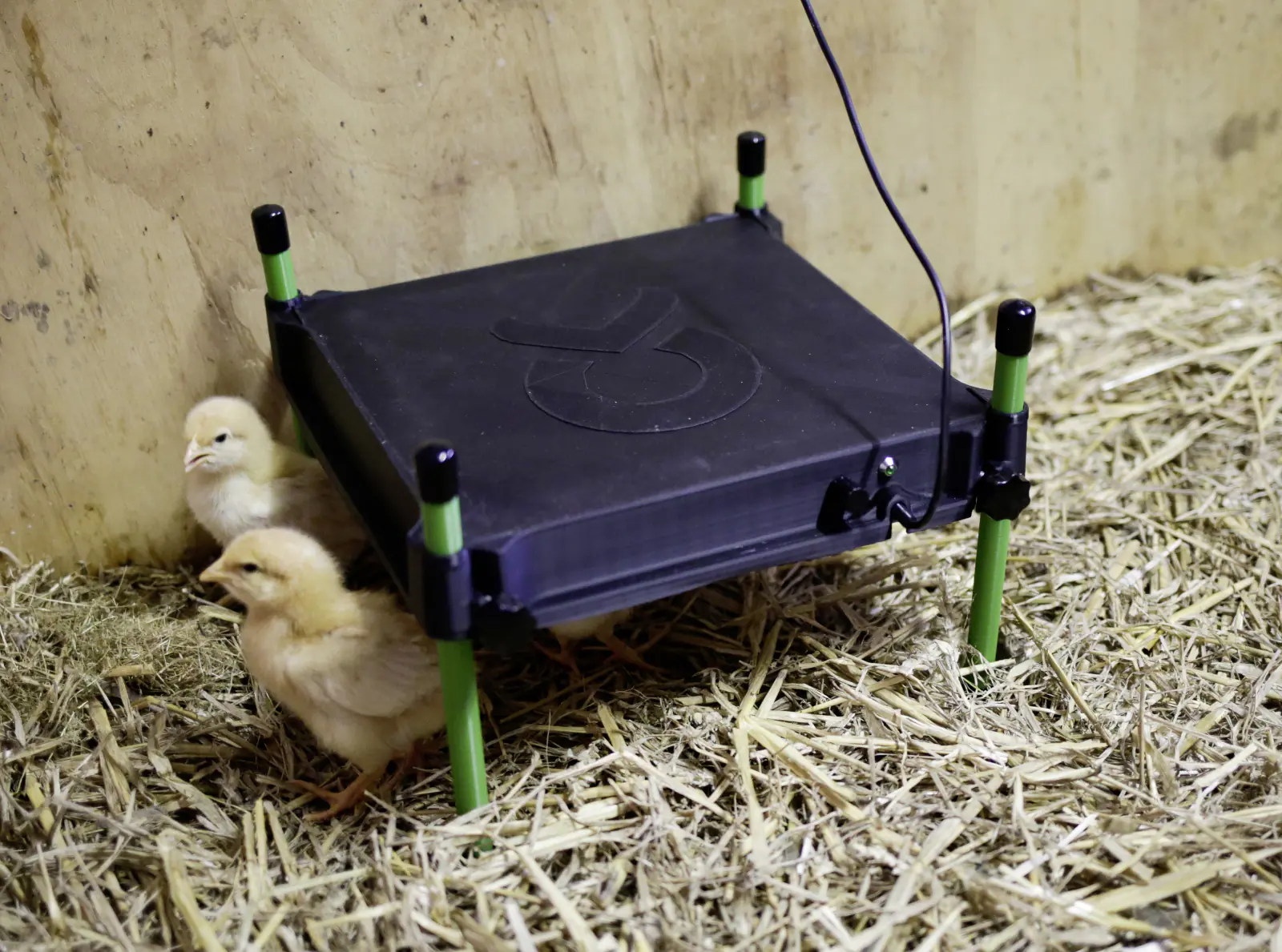 Kerbl Wärmeplatte CosyHeat 30x30 cm 24 V schwarz grün