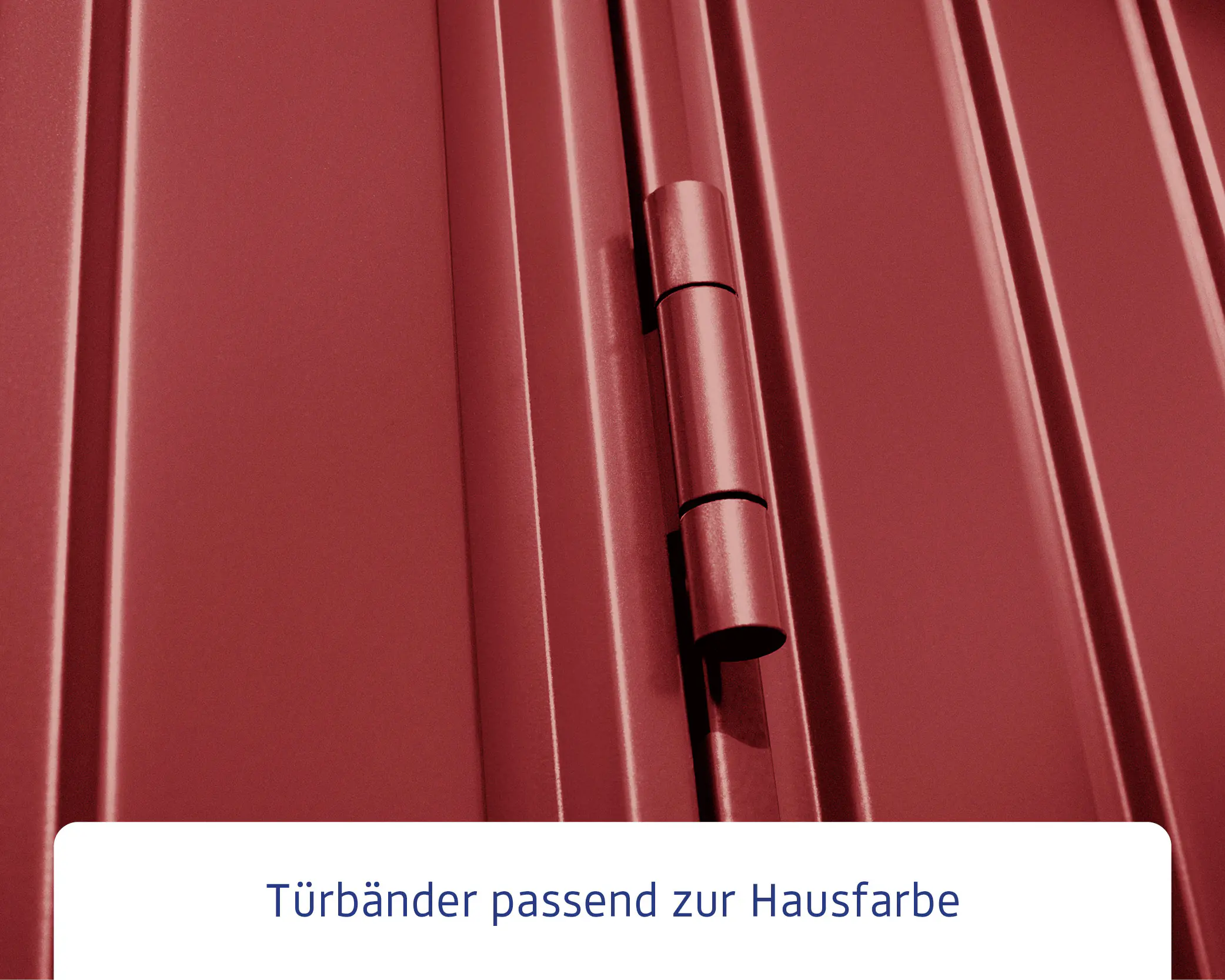 Ecostar Gerätehaus Trend-S Typ 1 258,8 x 121,3 x 216 cm purpurrot