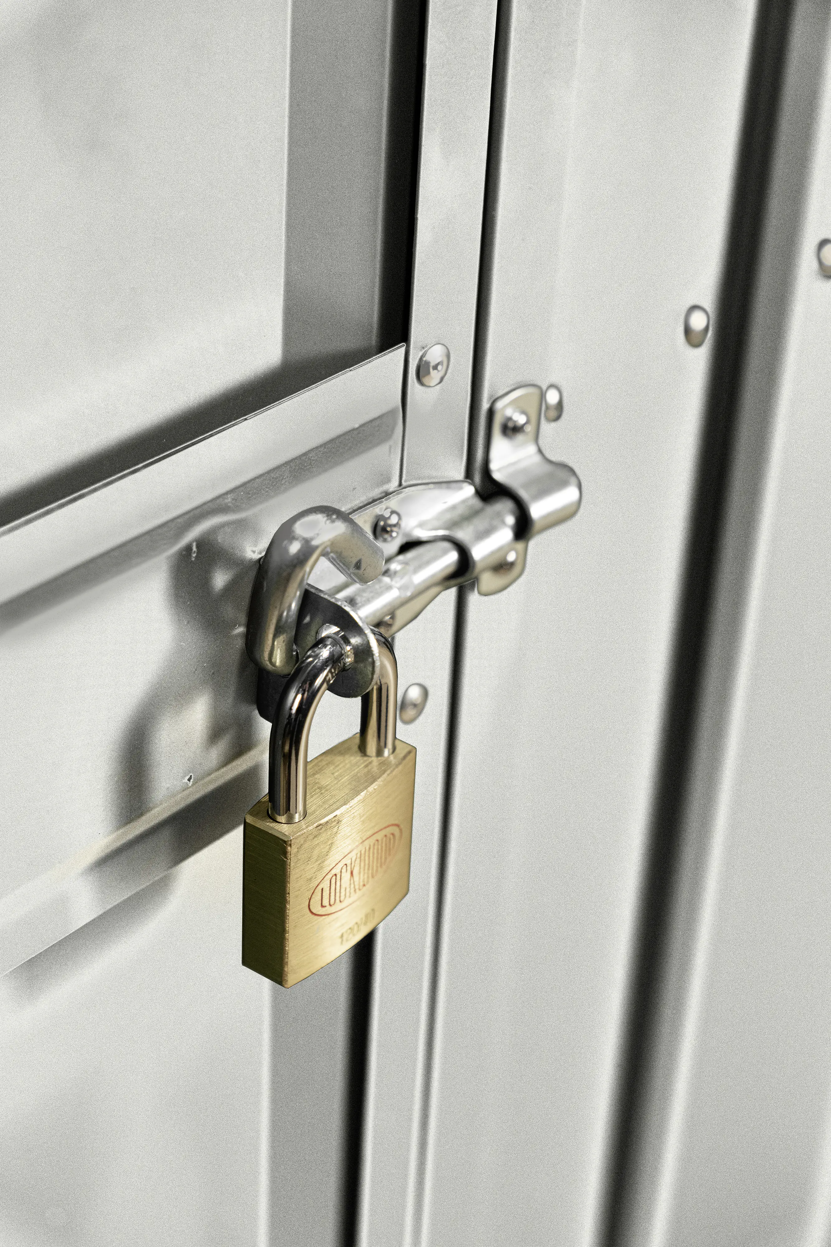 Globel Schwingtür-Set 1 67 x 172 cm silber-metallic