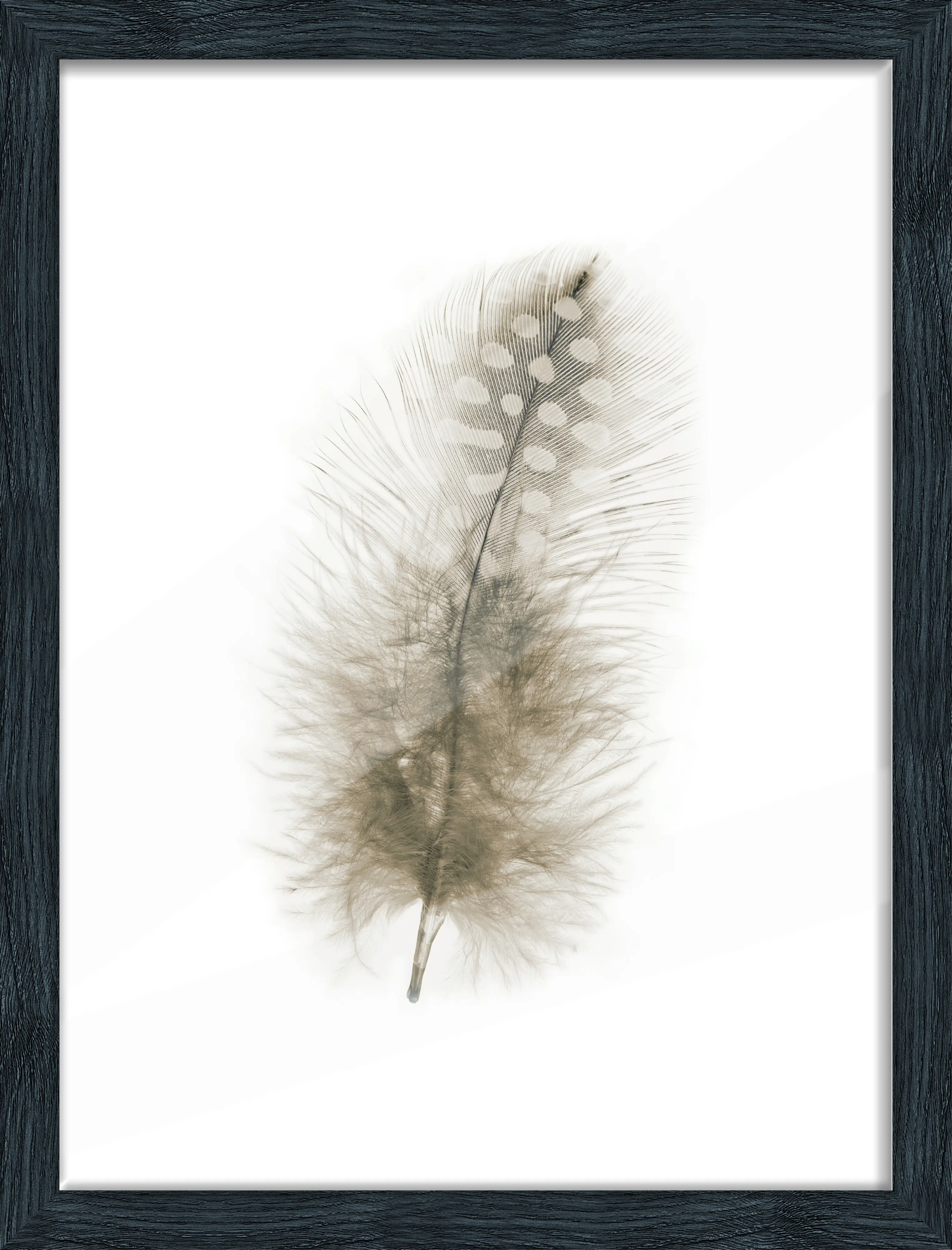 Bilderrahmen Holz Arosa eiche schwarz 30 x 40 cm