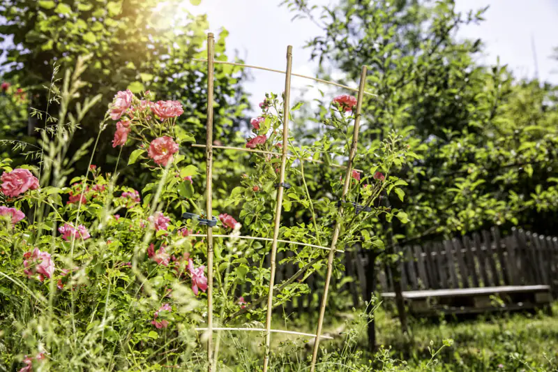 Rankgitter 70 x 30 cm