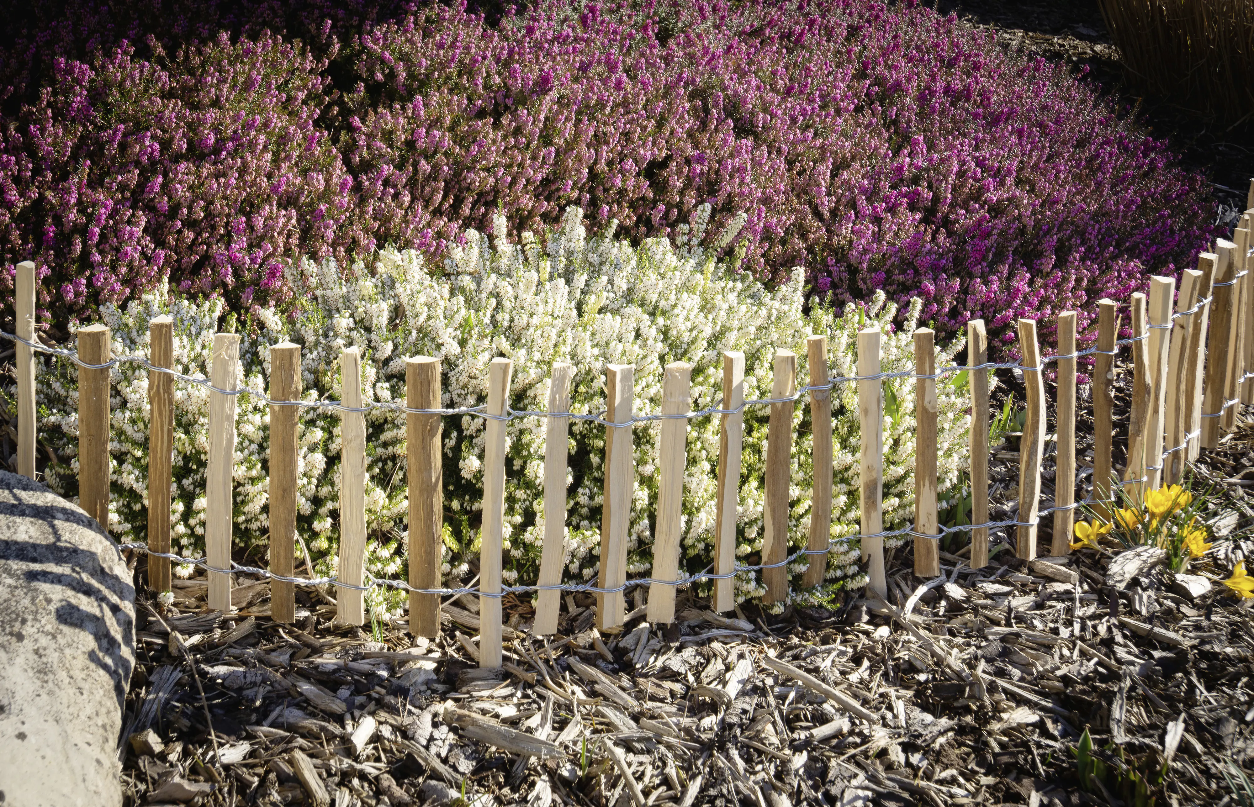 Floraworld Rollzaun Beetkante 2 m x 28/45 cm natur