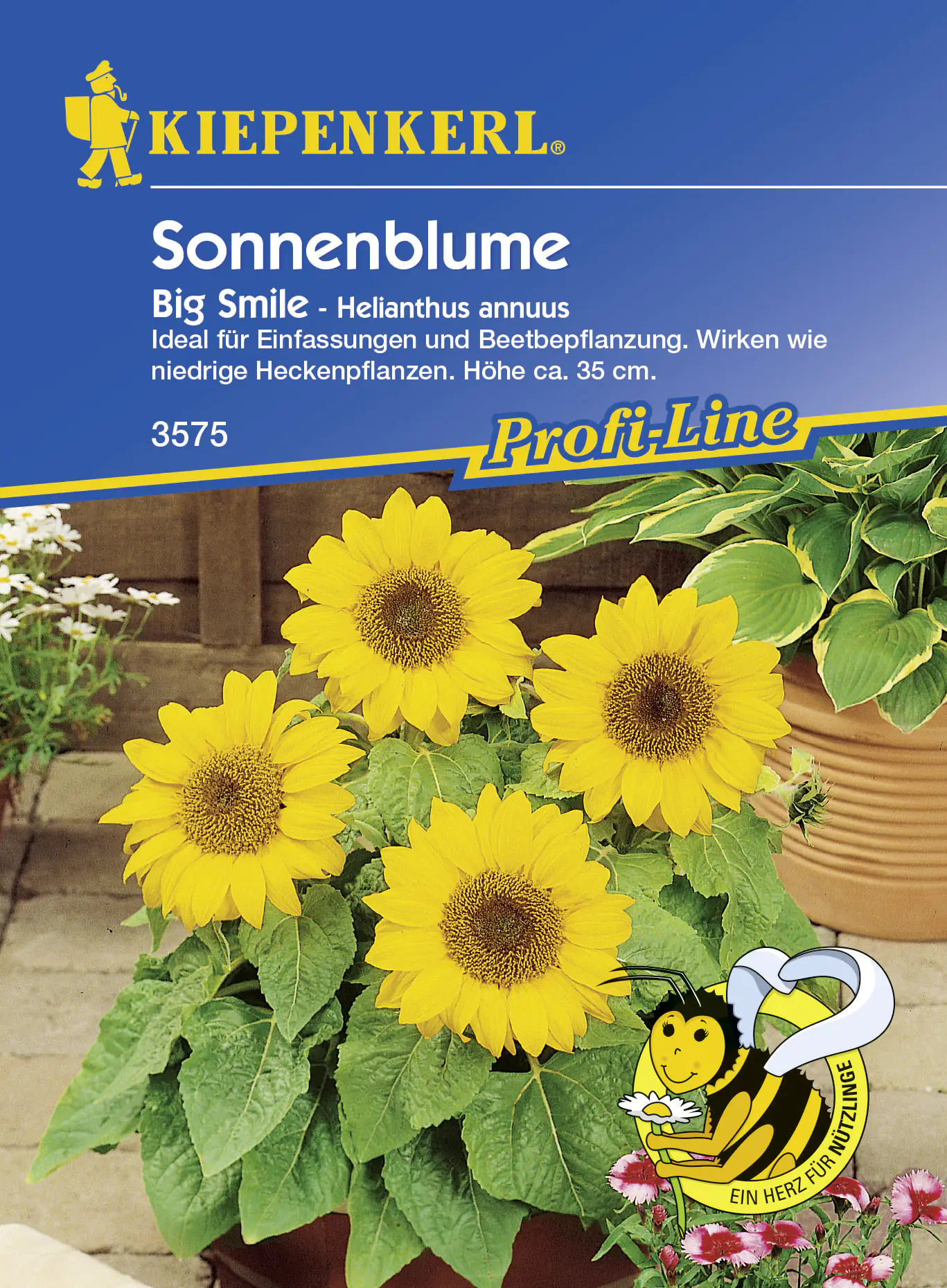 Kiepenkerl Sonnenblume Big Smile ca. 20 Pflanzen