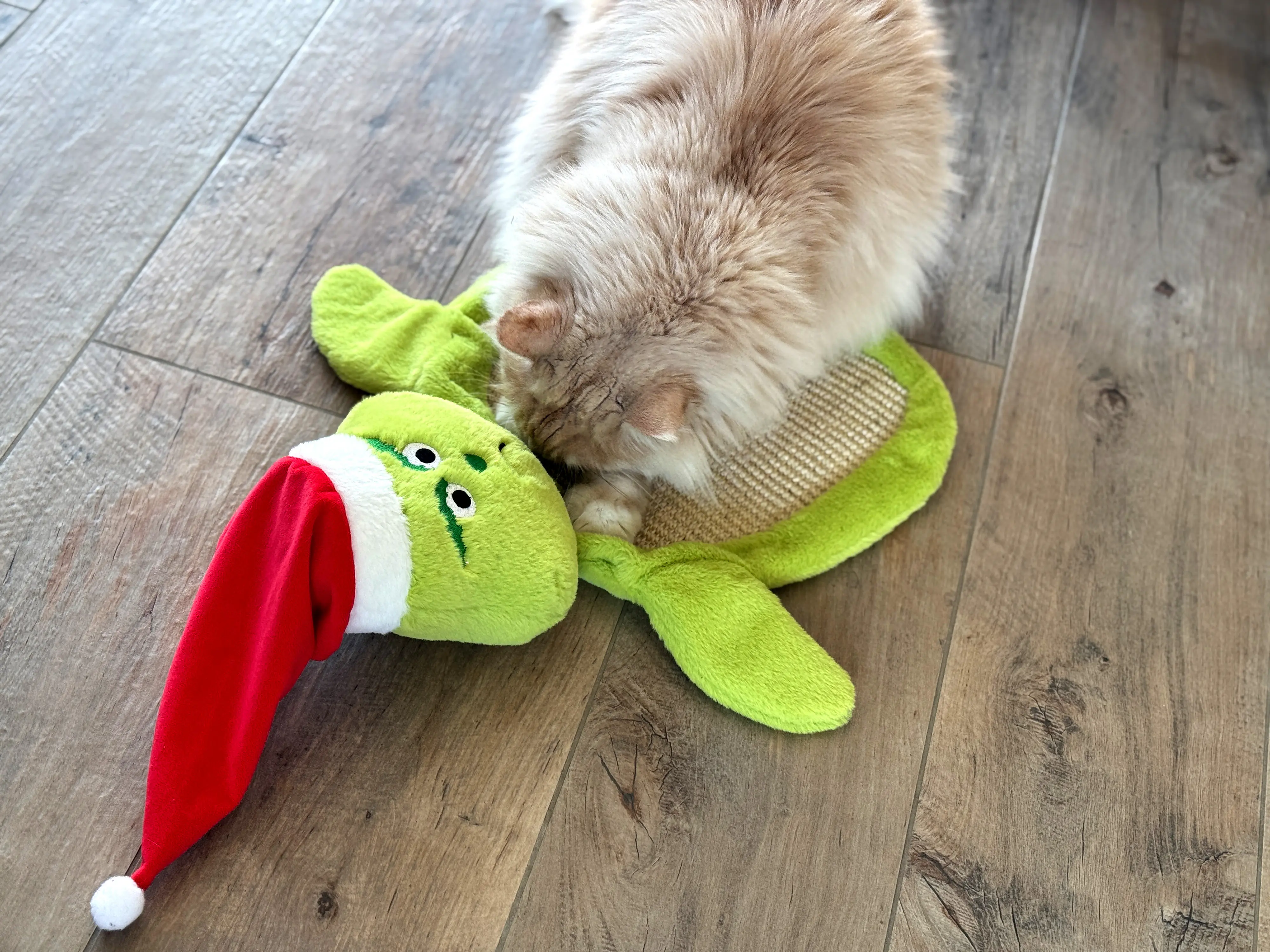 Aumüller Katzenspielzeug Weihnachtsmuffel Kratzmatte 58 cm grün Aumüller Katzenspielzeug Weihnachtsmuffel Kratzmatte 58 cm grün