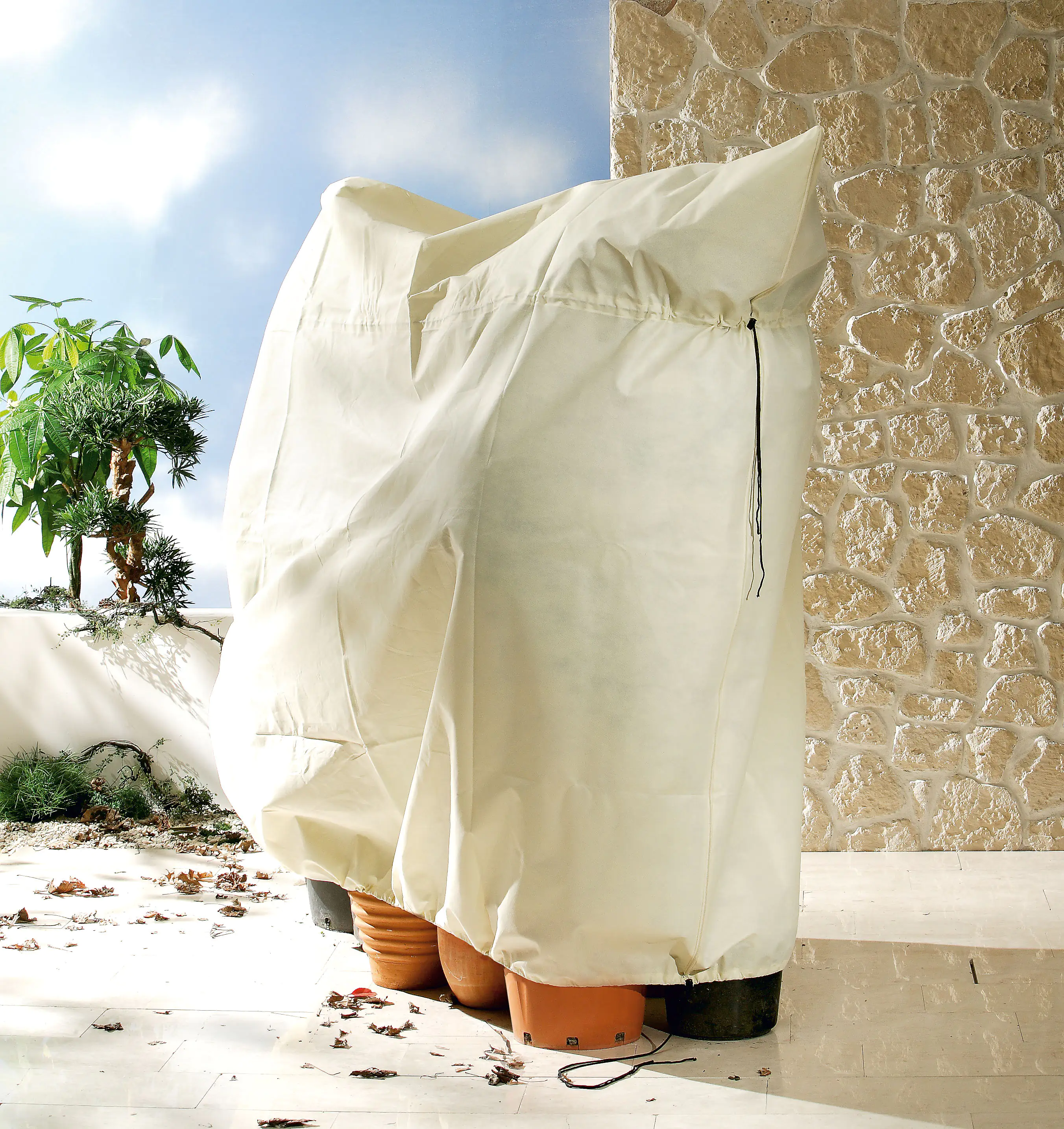 Bio Green Kübelpflanzensack Jumbo 240 x 200 cm Bio Green Kübelpflanzensack Jumbo 240 x 200 cm