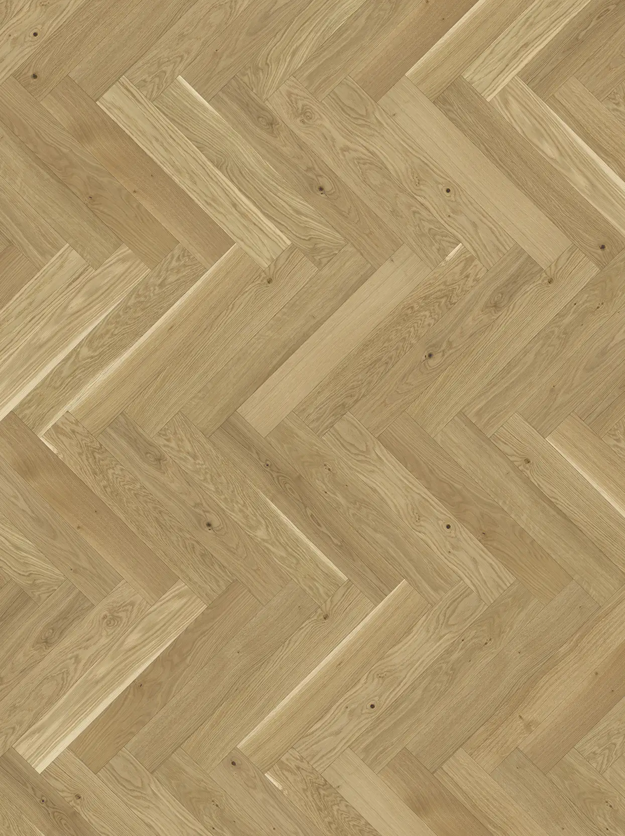 Parador Parkett Trendtime 3 Living Eiche naturgeölt plus