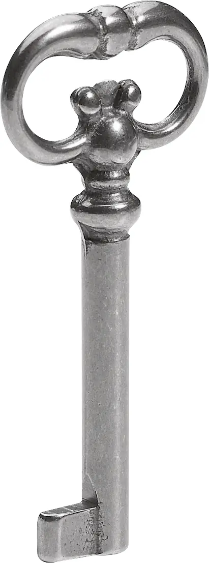 Hettich Buntbart-Schlüssel 75 x 4 mm Stahl antik 1 Stück