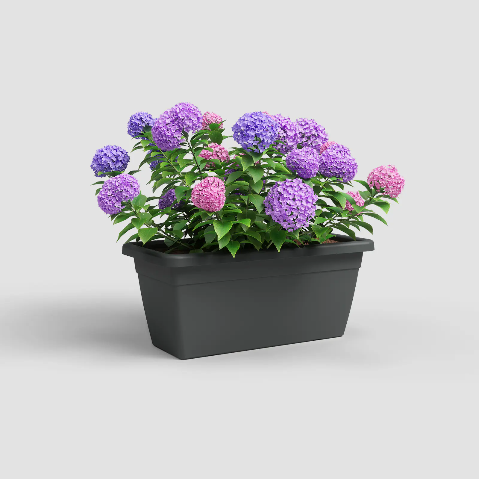 Artevasi Pflanzkasten Venezia Xl Kunststoff anthrazit matt 80 x 39 x 35 cm 