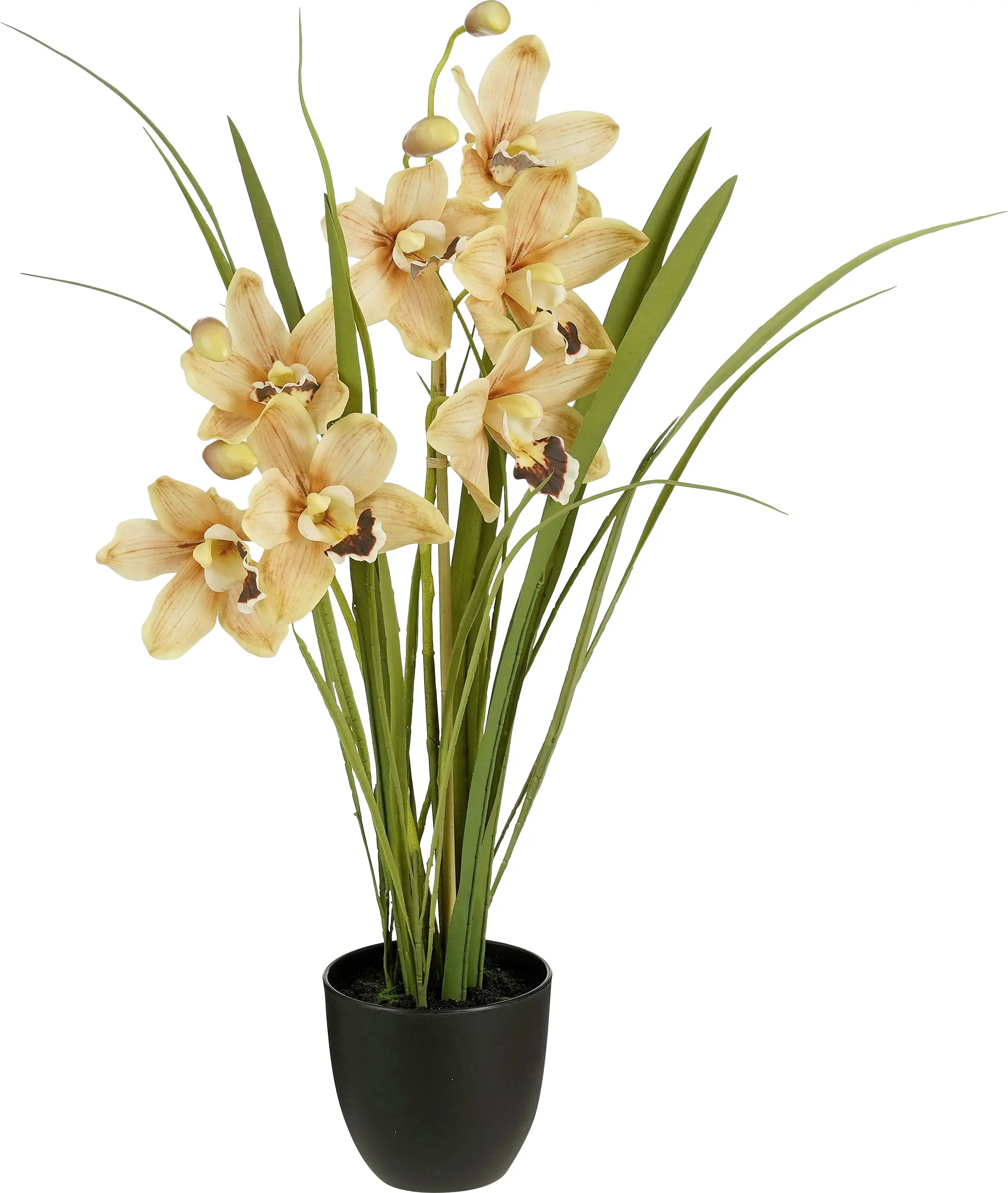 Mica Decorations Kunstpflanze Cymbidium im Topf pfirsich Ø 26 x 71 cm