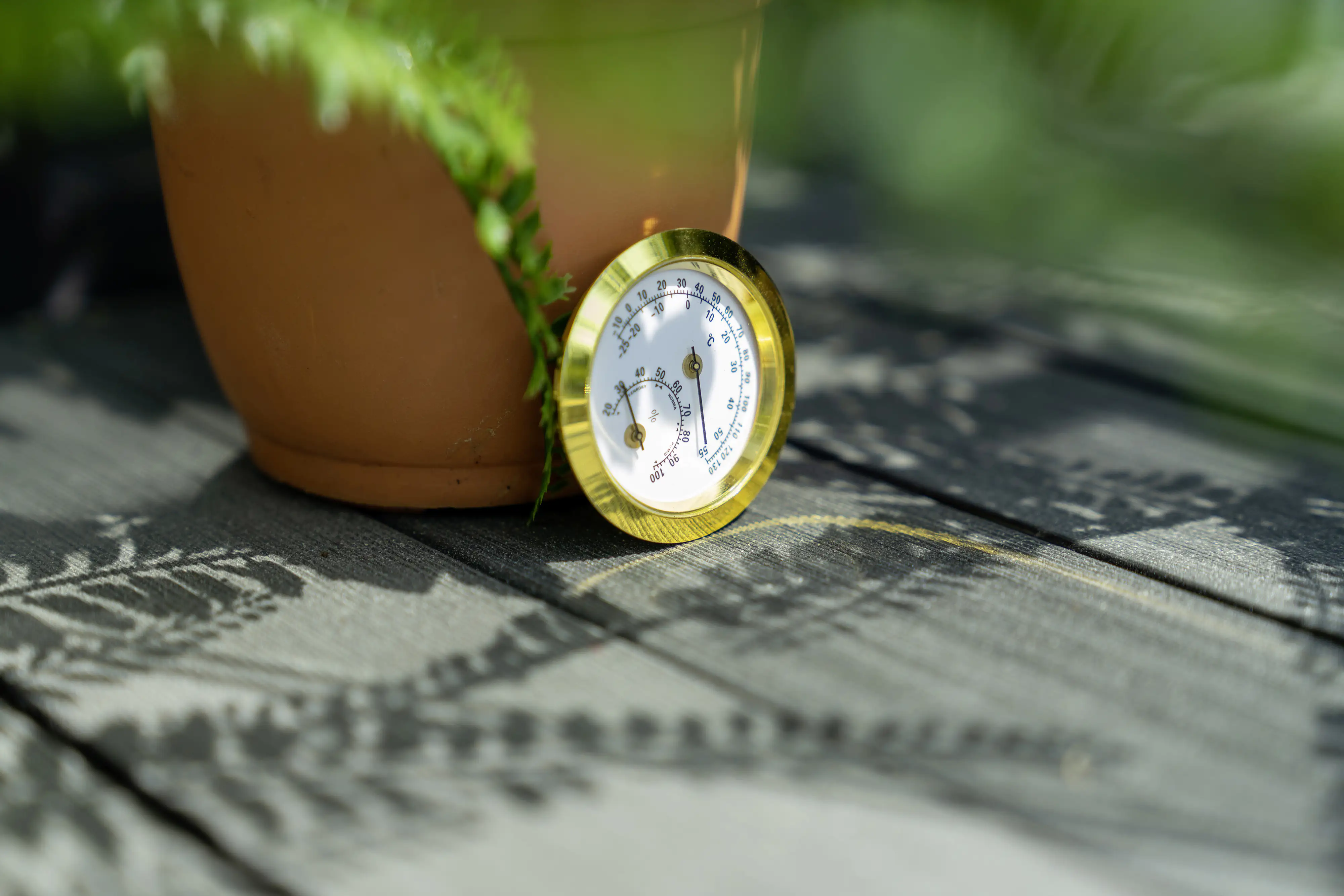 Vitavia Hygrometer Vitavia Hygrometer