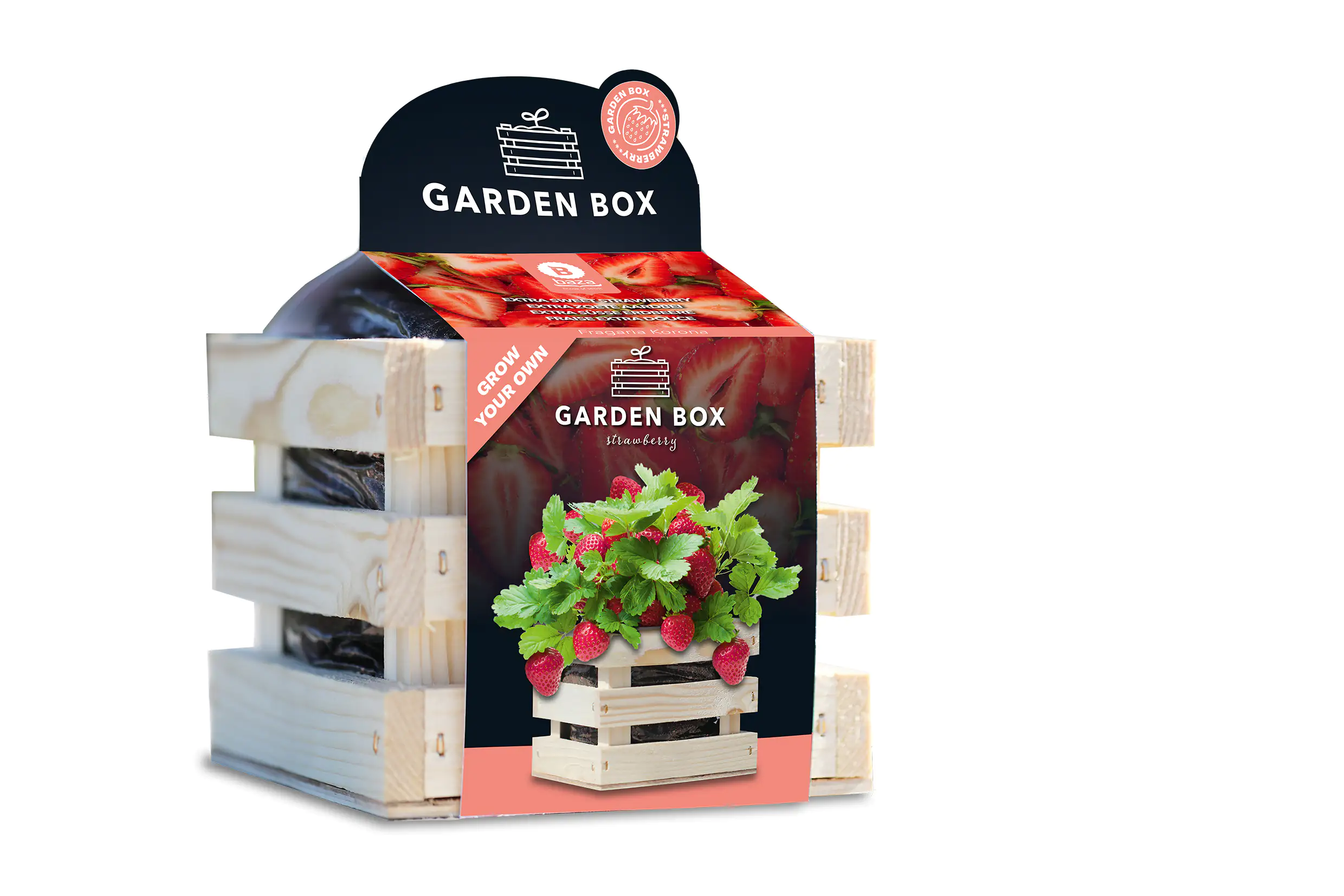 Baza Seeds Garden Box extra süße Erdbeere