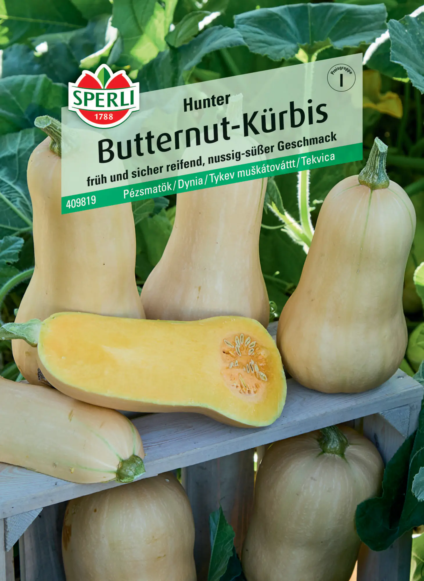Sperli Butternutkürbis Hunter F1