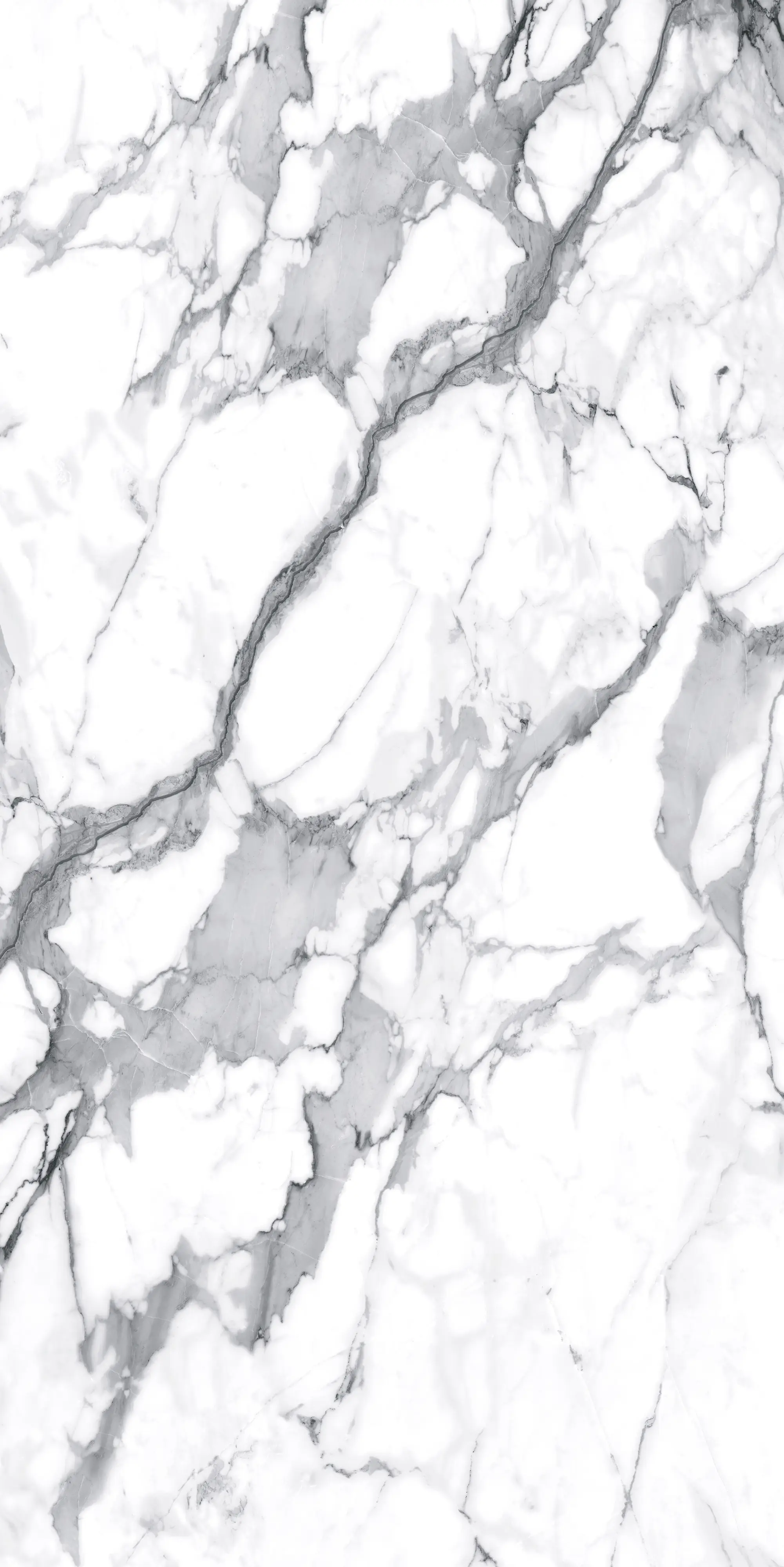 Bodenfliese Feinsteinzeug Visage Grey Plus 120 x 240 cm weiß