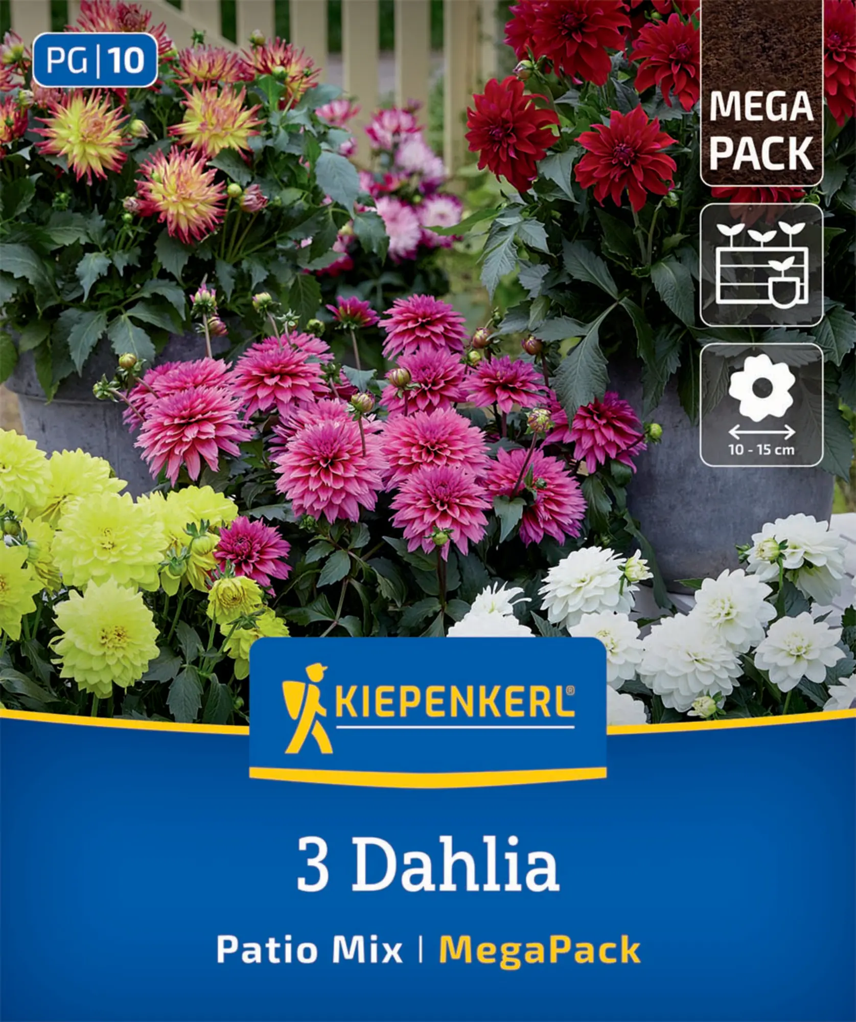 Kiepenkerl Mega-Pack Frühjahrsblumenzwiebel Zwerg-Dahlien Mischung 3 Stück