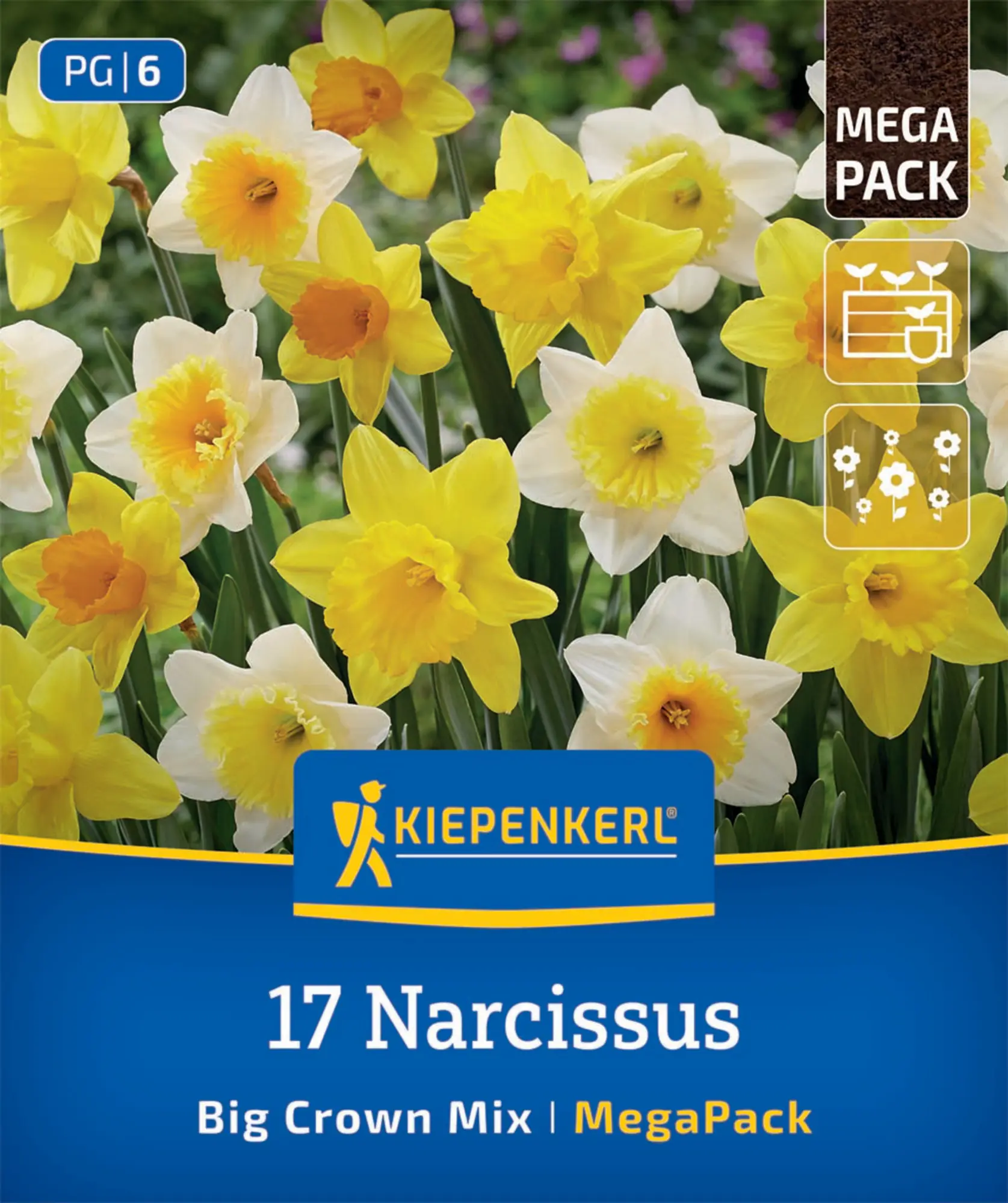 Kiepenkerl Herbstblumenzwiebel Narzissen Großkronige Narzissen Mischung 17 Stück