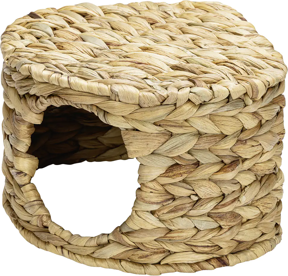 Beeztees Meerschweinchenhaus Caav 25 cm Wasserhyazinthe