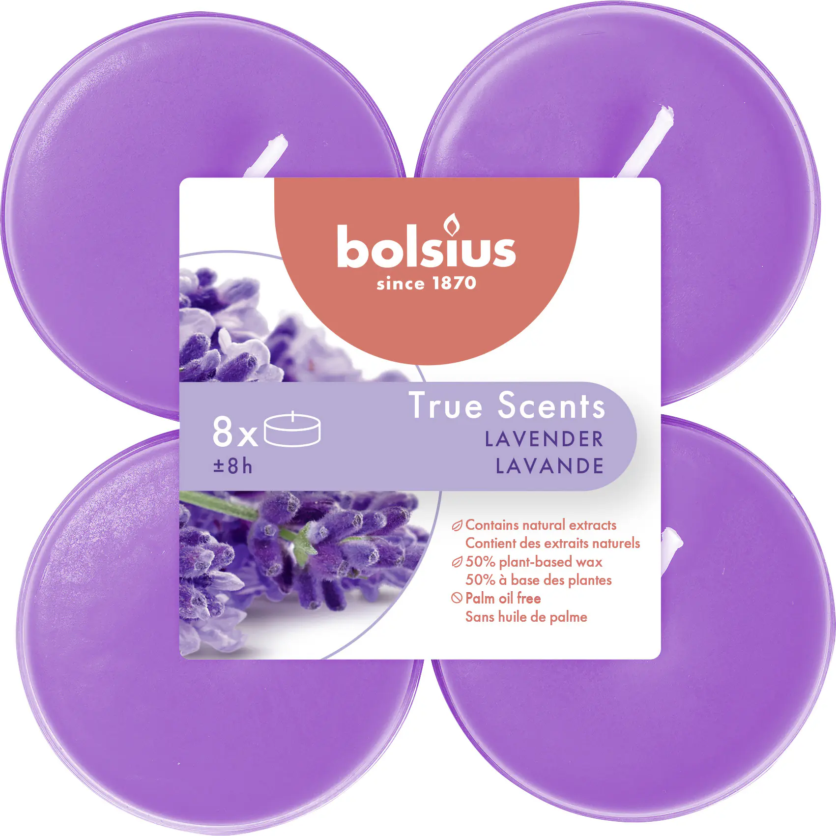 Bolsius Duftteelichter Maxi Lavendel, Höhe 1,17 cm, Ø 4,5 cm, 6er Pack